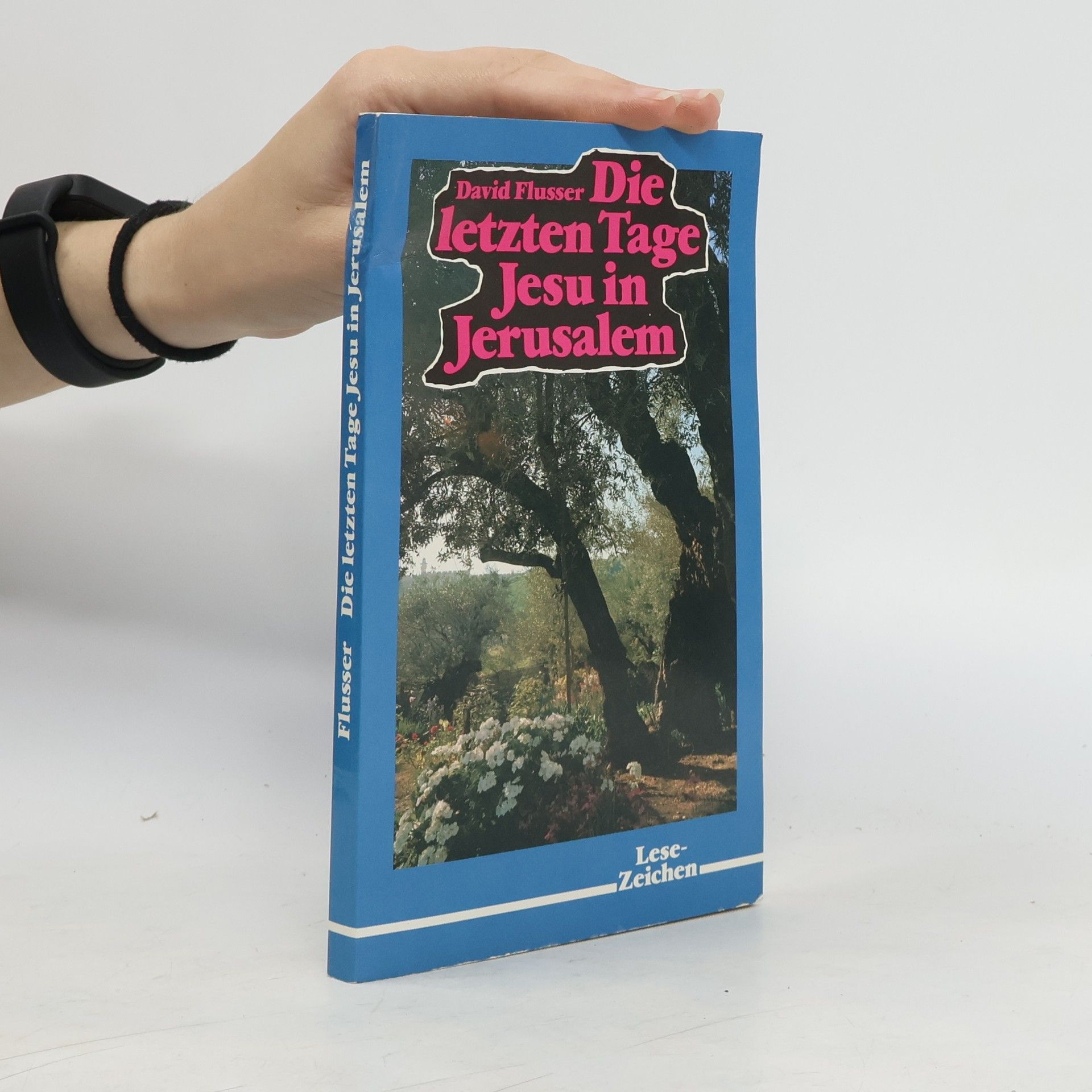 David Flusser Die letzten Tage Jesu in Jerusalem