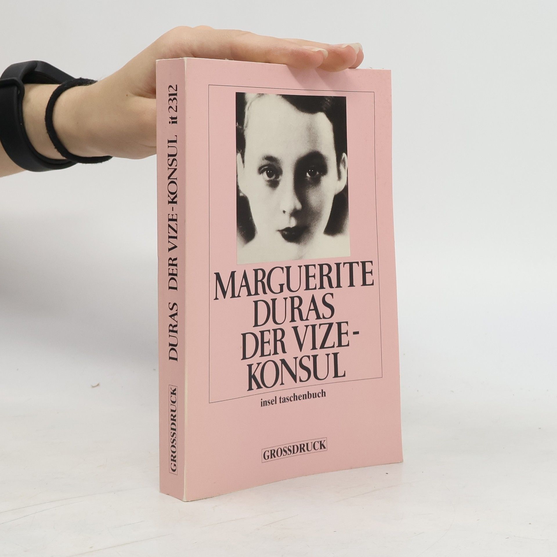 Marguerite Duras Der Vize-Konsul. Roman