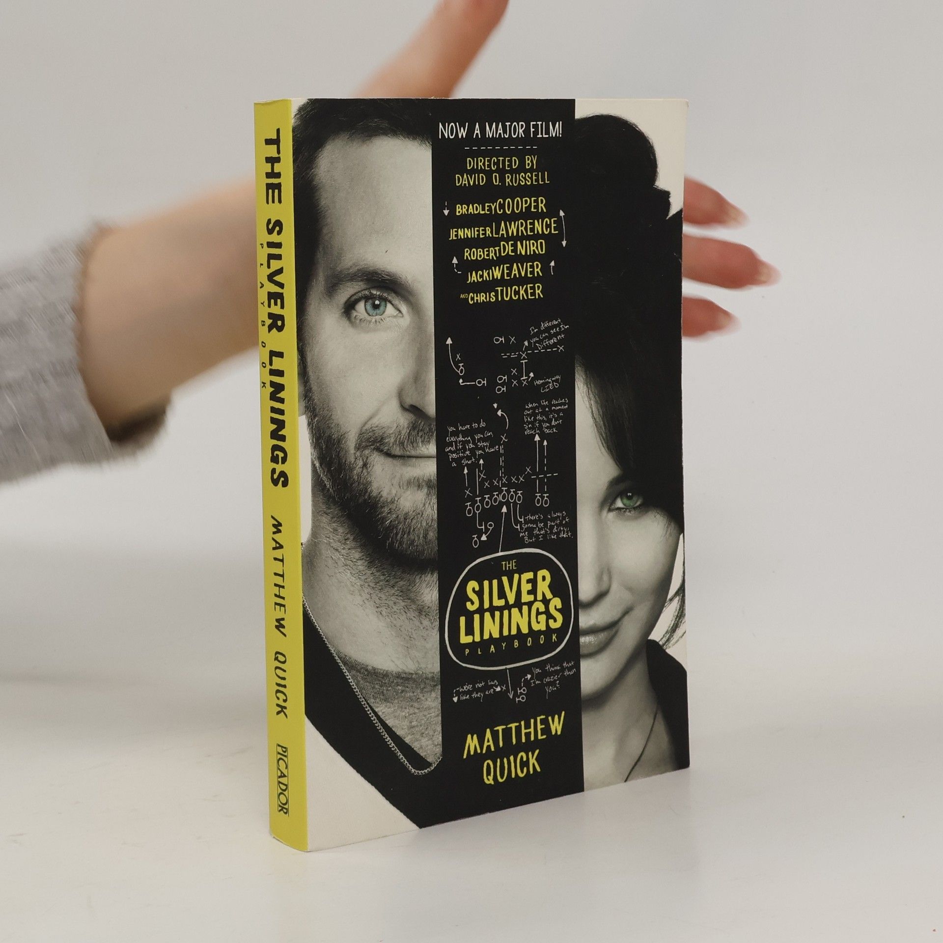 Matthew Quick Silver linings playbook