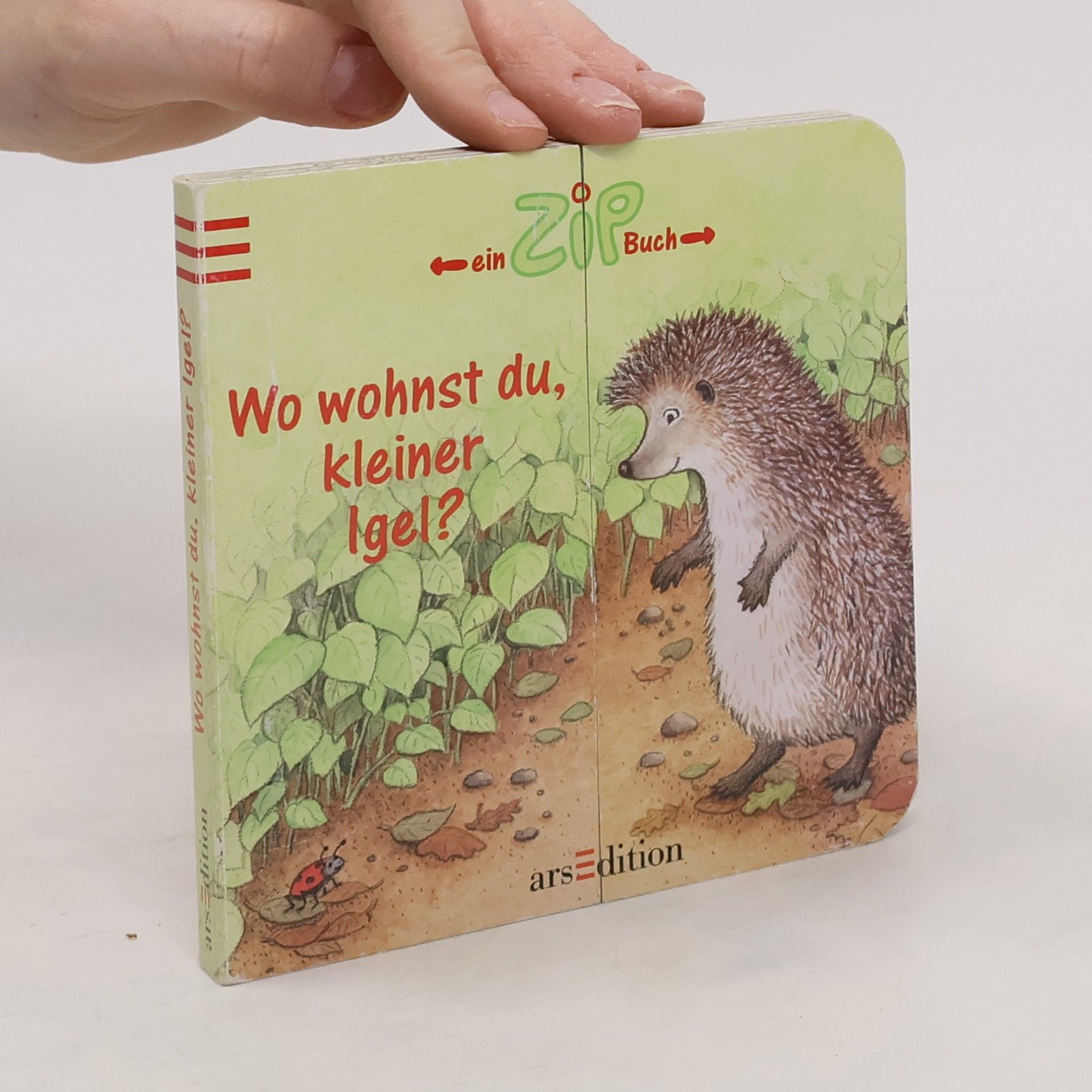 Irmtraut Teltau Wo wohnst du, kleiner Igel?