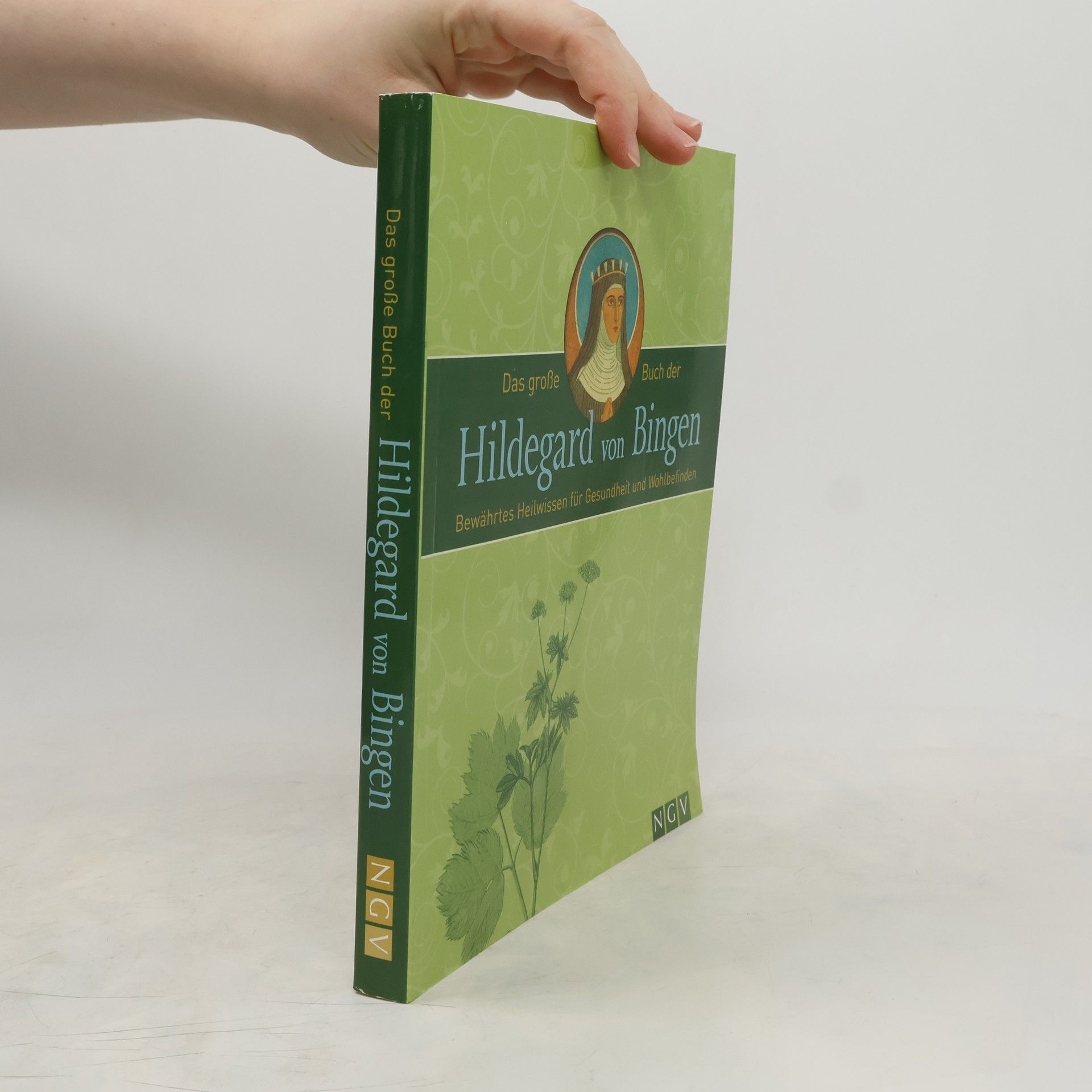 neuveden Das große Buch der Hildegard von Bingen