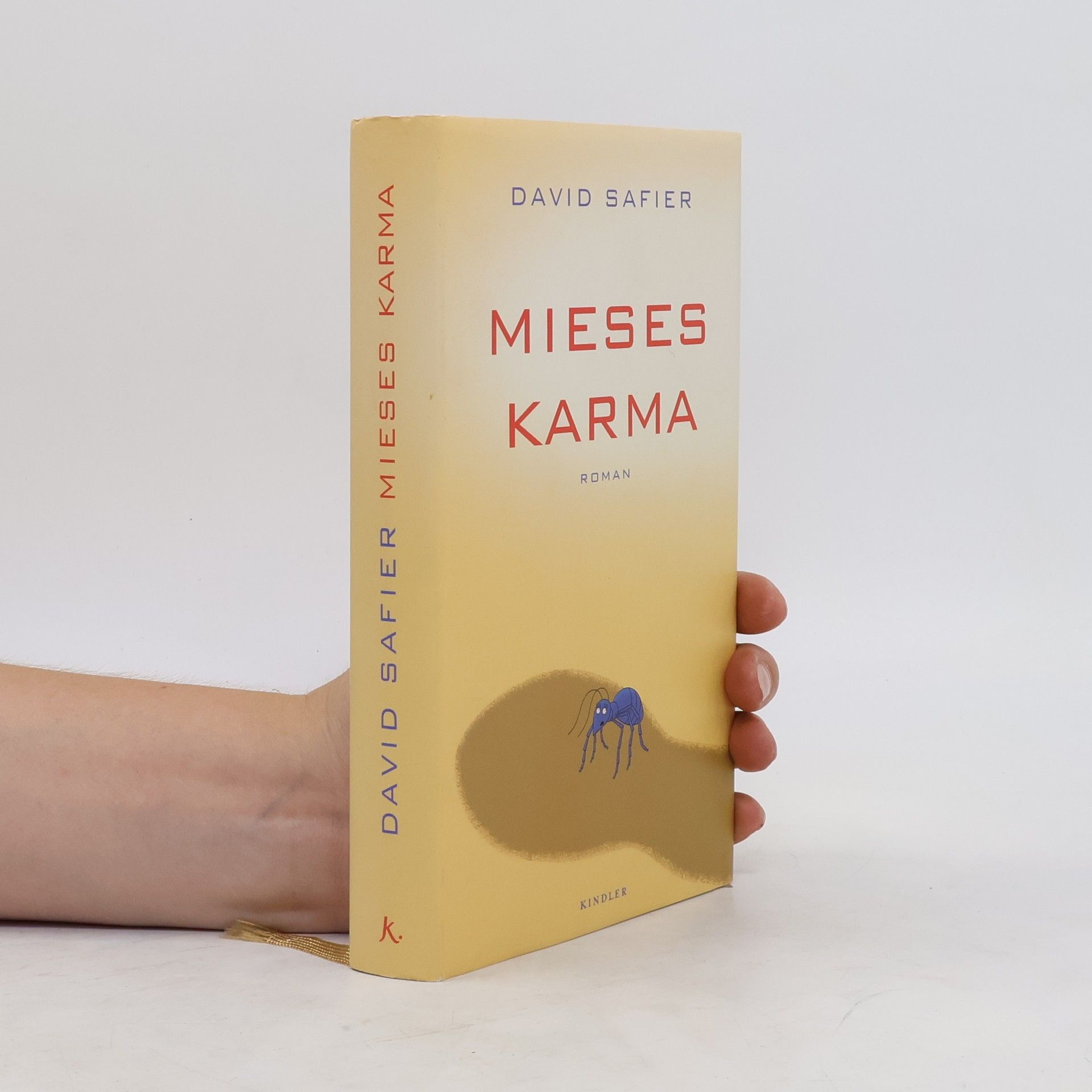 David Safier Mieses Karma