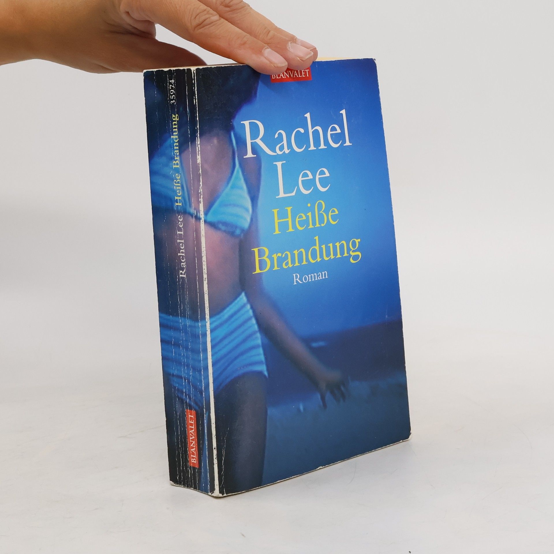 Rachel Lee Heiße Brandung