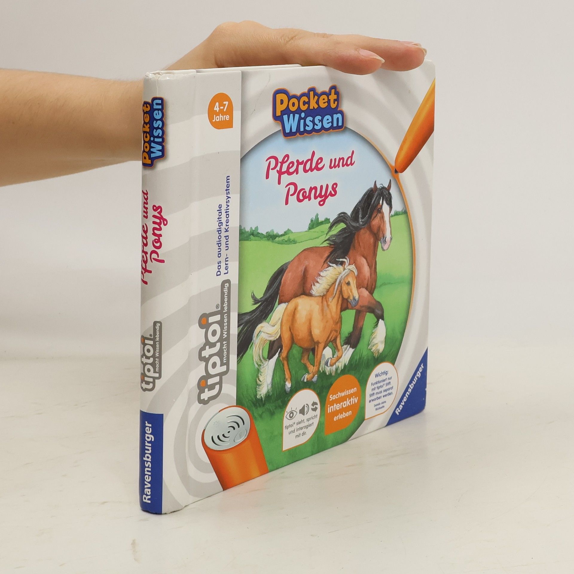Yvonne Follert Pferde und Ponys