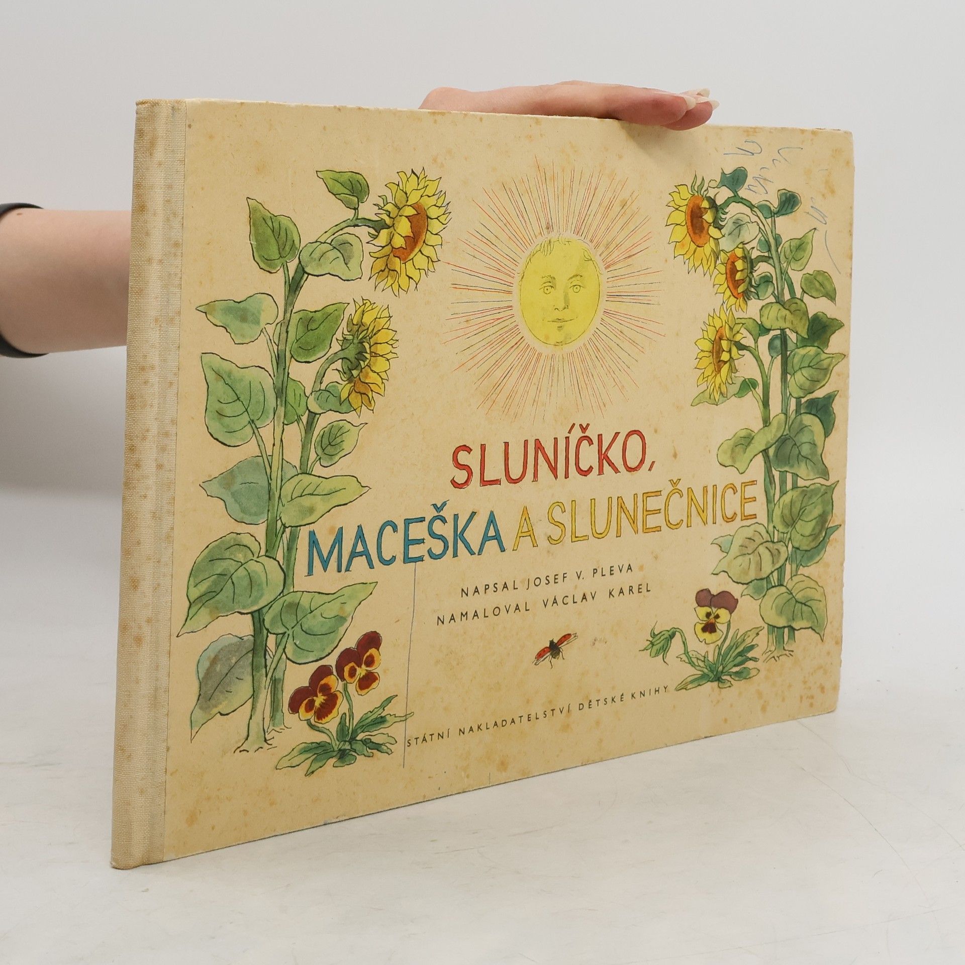 Josef Věromír Pleva Sluníčko, maceška a slunečnice