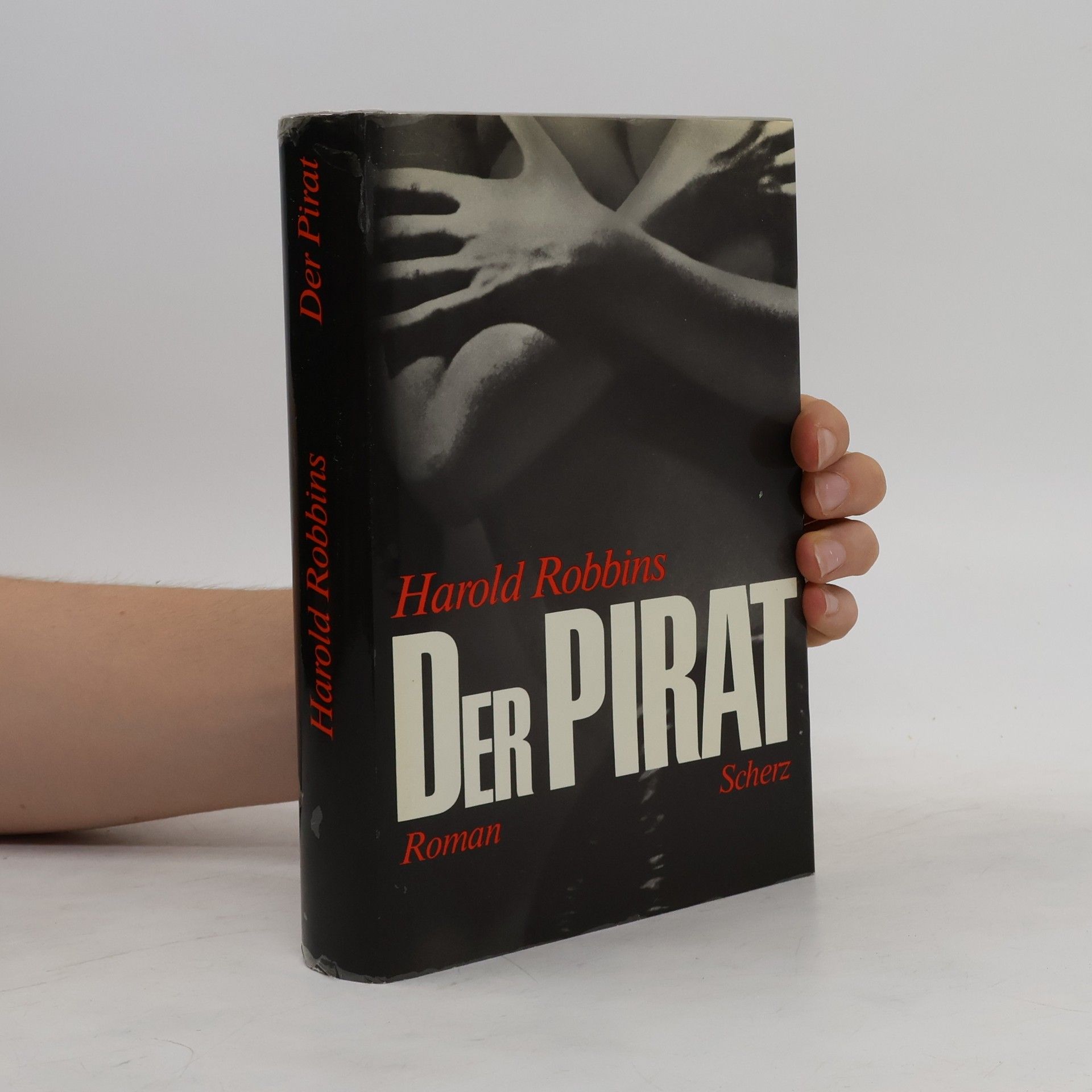 Harold Robbins Der Pirat