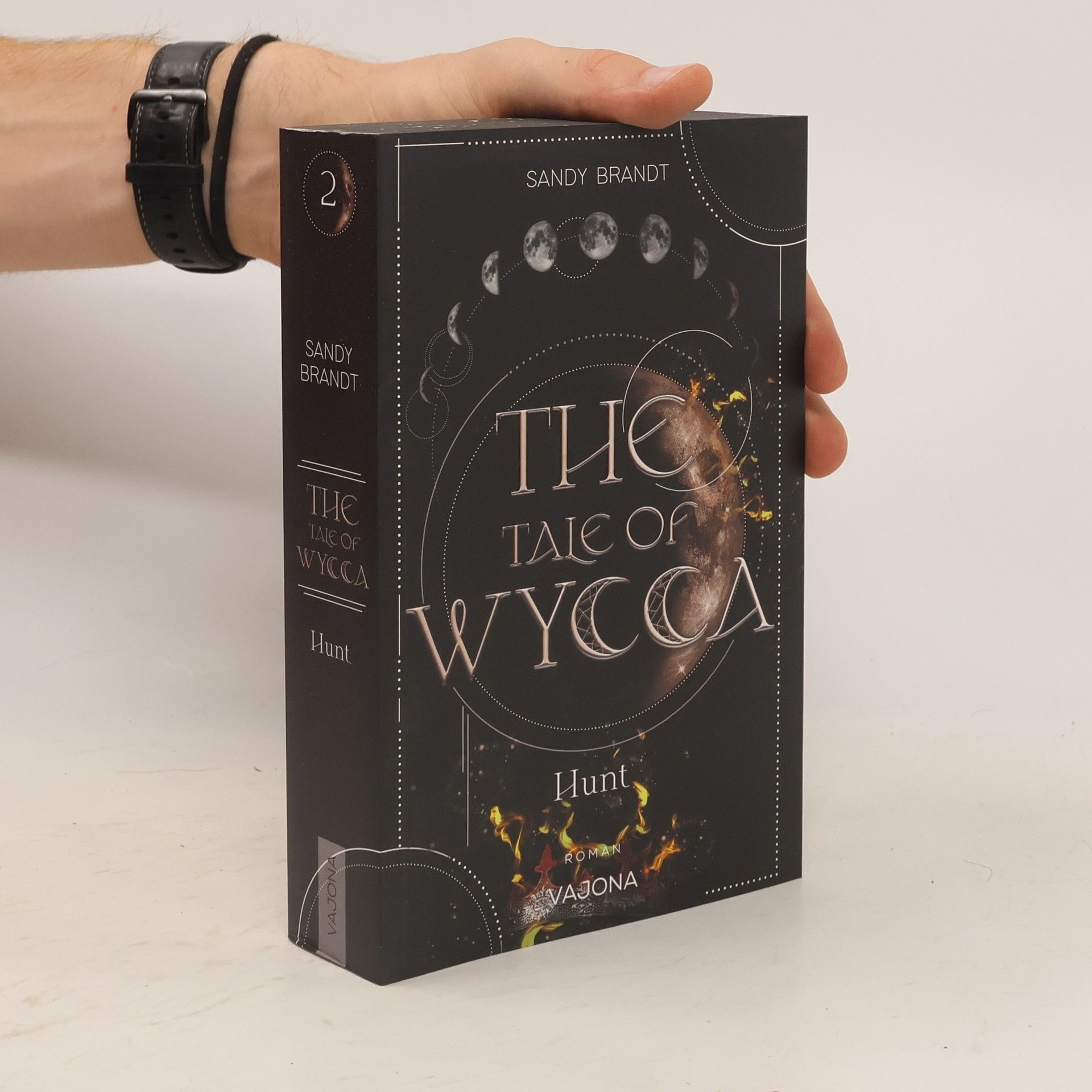 Sandy Brandt The Tale of Wycca 2