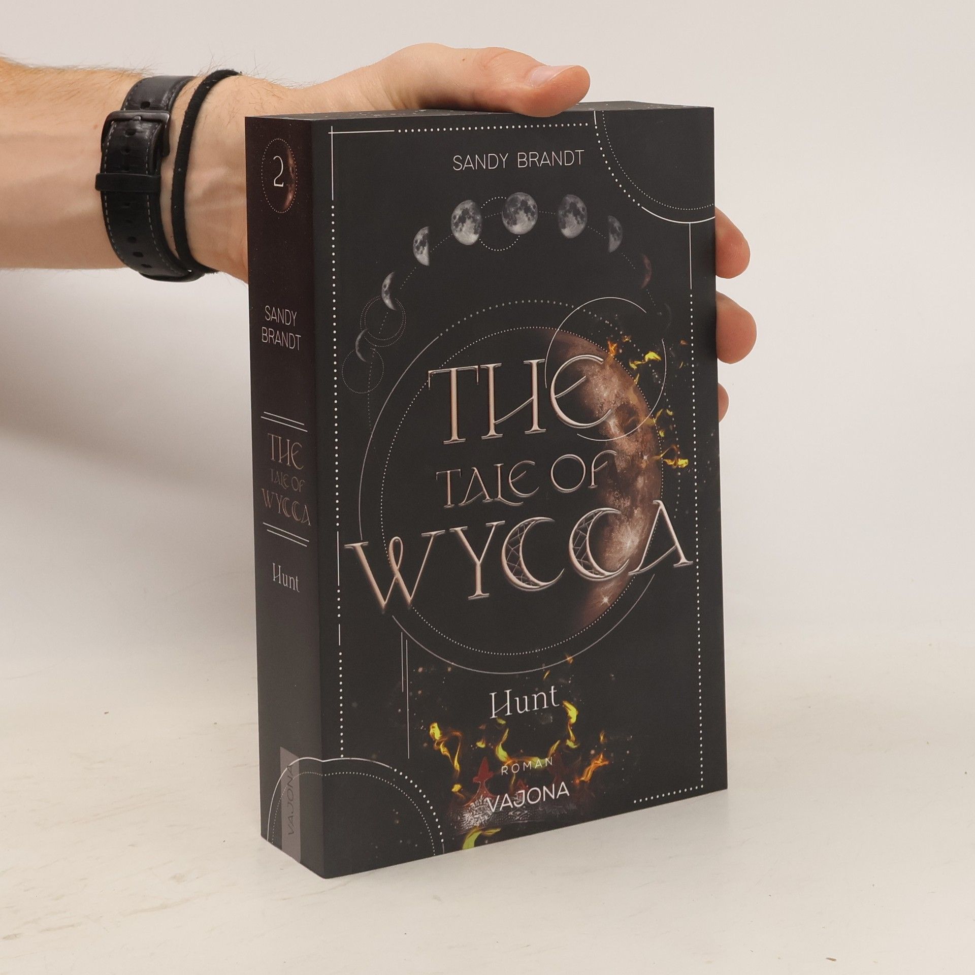 Sandy Brandt The Tale of Wycca 2