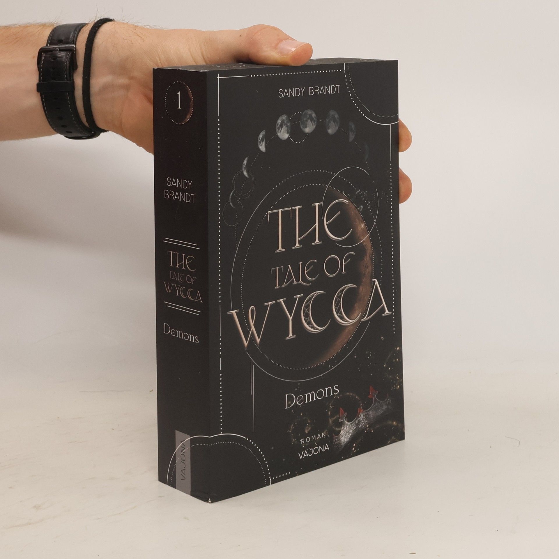 Sandy Brandt The Tale of Wycca 1. Demons