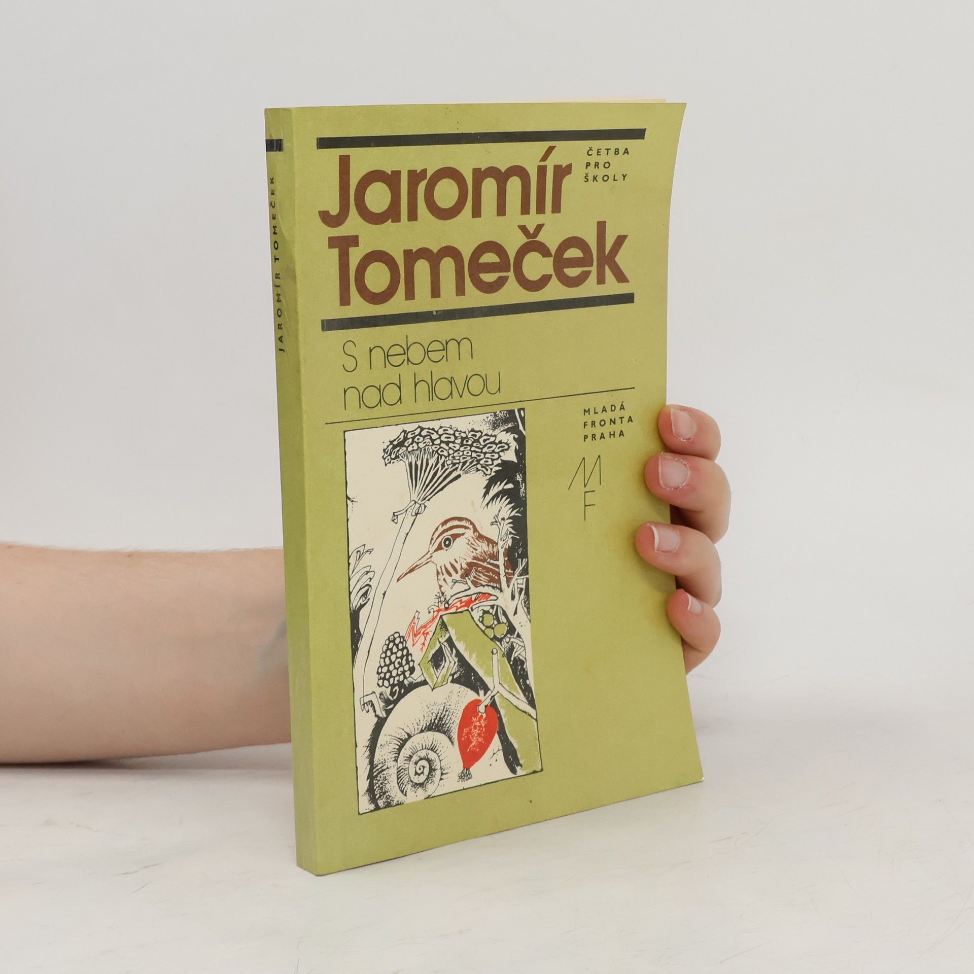 Jaromír Tomeček S nebem nad hlavou