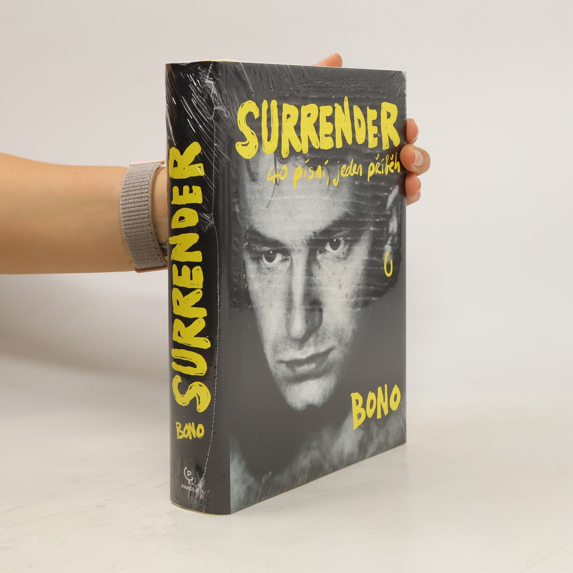 Bono Surrender : 40 písní, jeden příběh