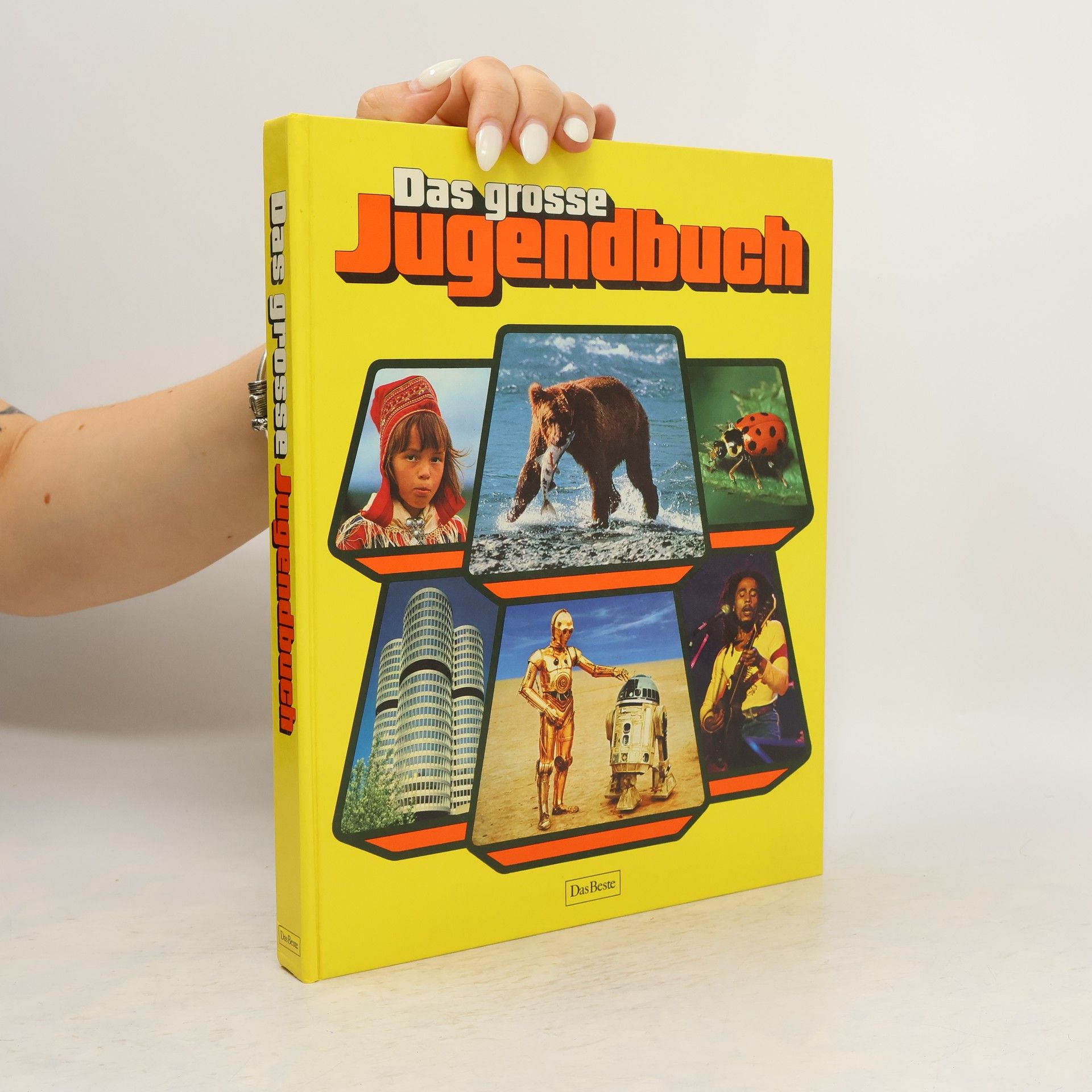 09 a83 Das grosse jugendbuch