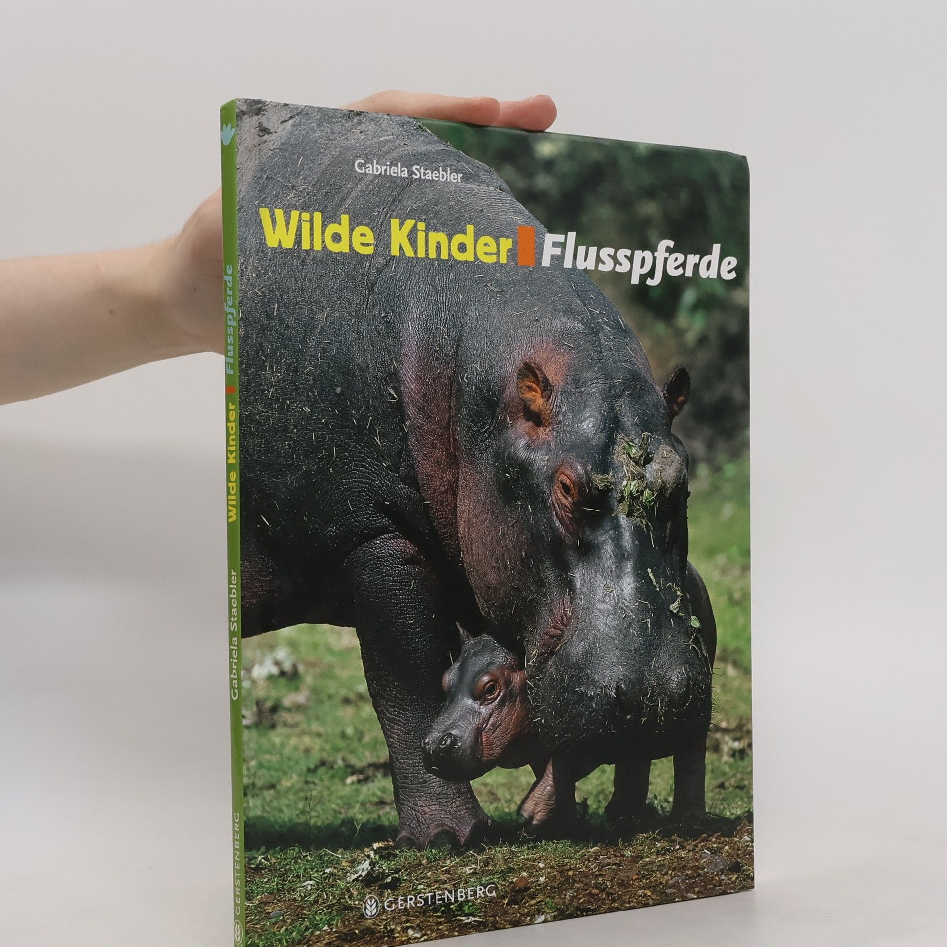Gabriela Staebler Wilde Kinder - Flusspferde