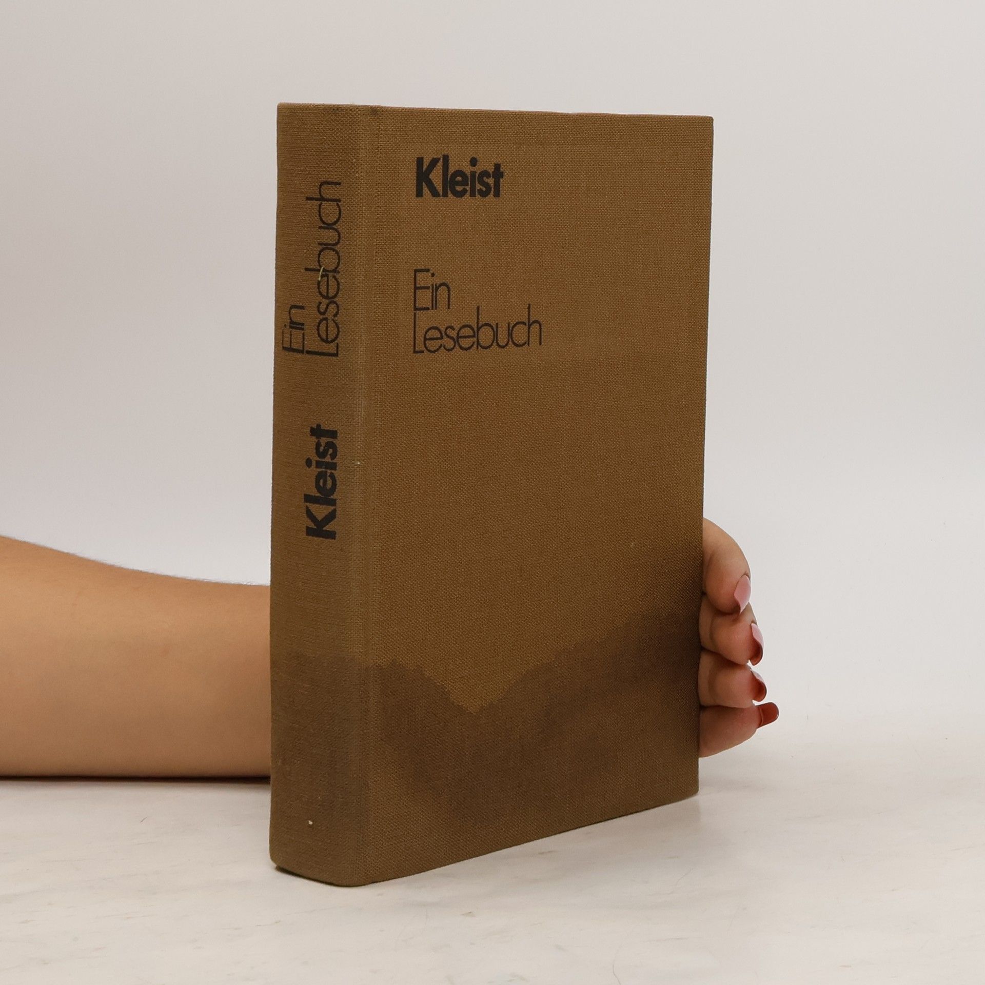 Heinrich von Kleist Ein Lesenbuch