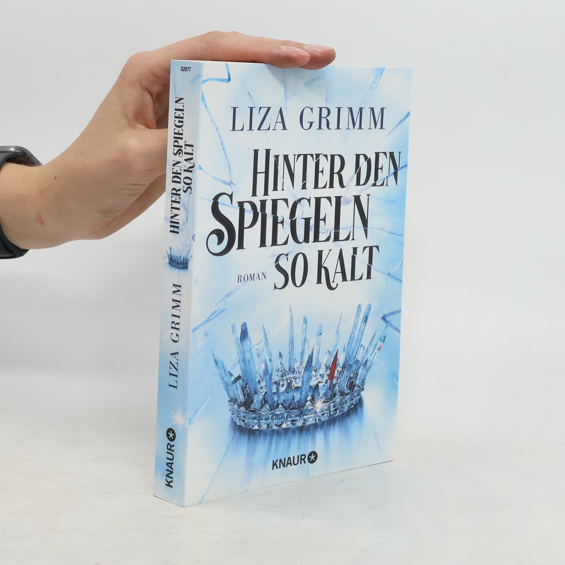 Liza Grimm Hinter den Spiegeln so kalt