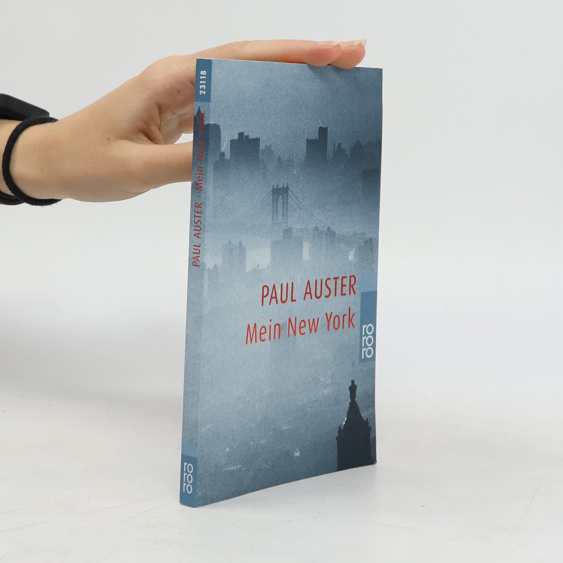 Paul Auster Mein New York