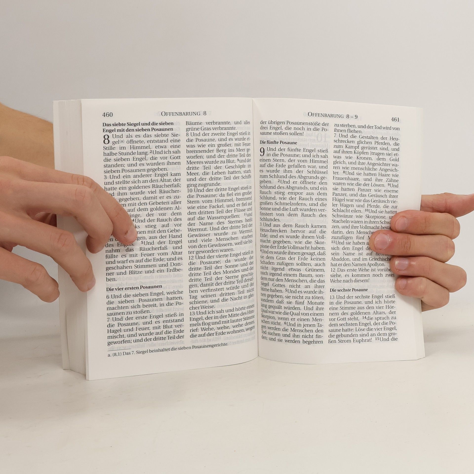 Autorenkollektiv Neues Testament & Psalmen. Version 2000