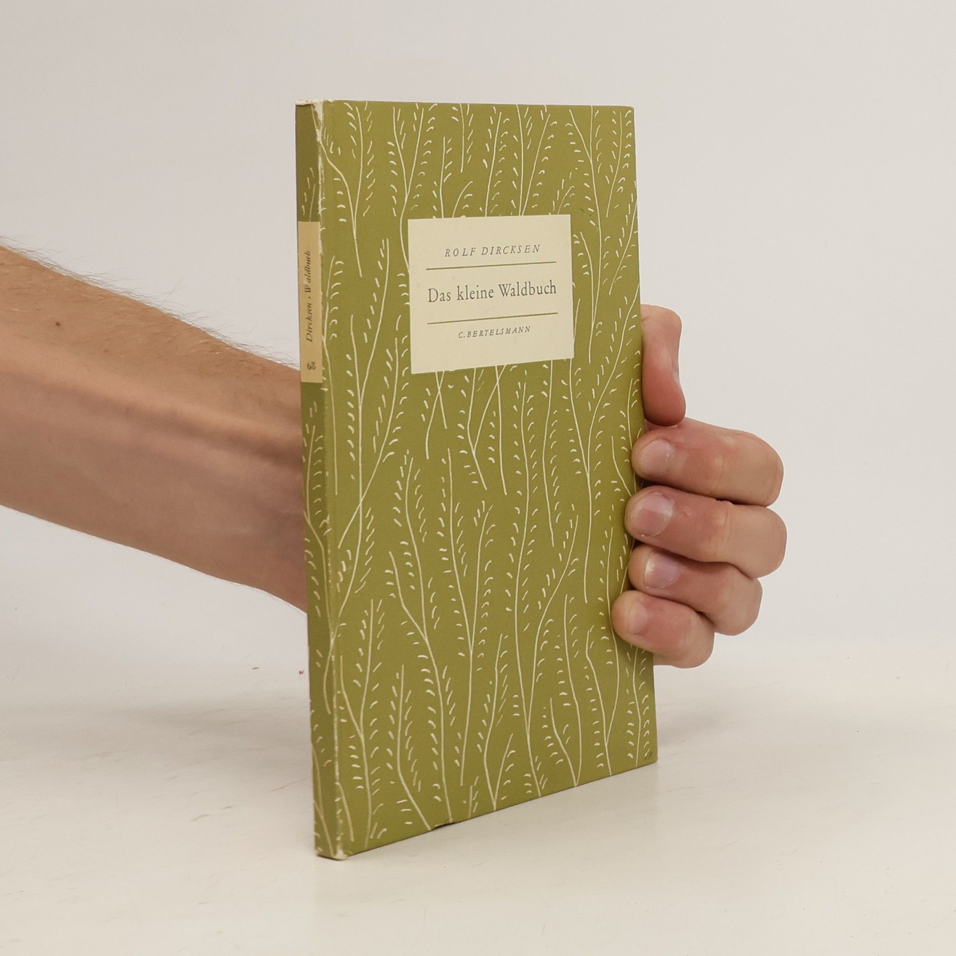 Rolf Dircksen Das kleine Waldbuch