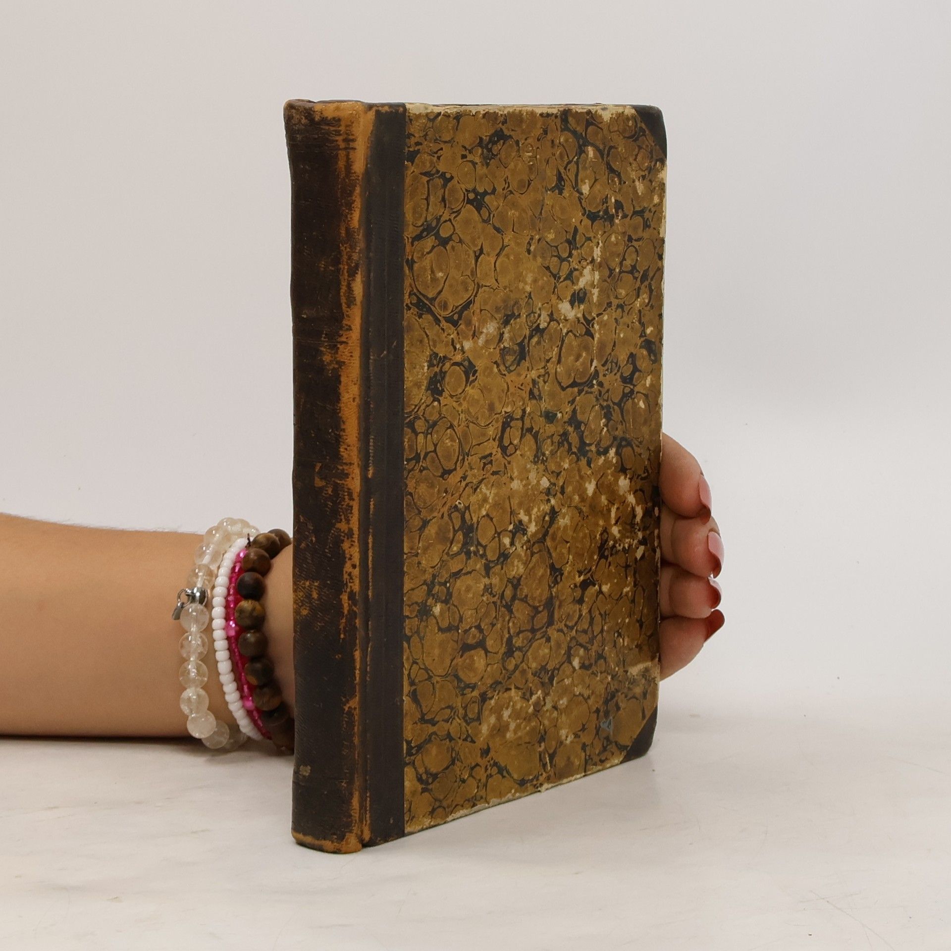 Franz Xaver Fernbach Die Oelmalerei