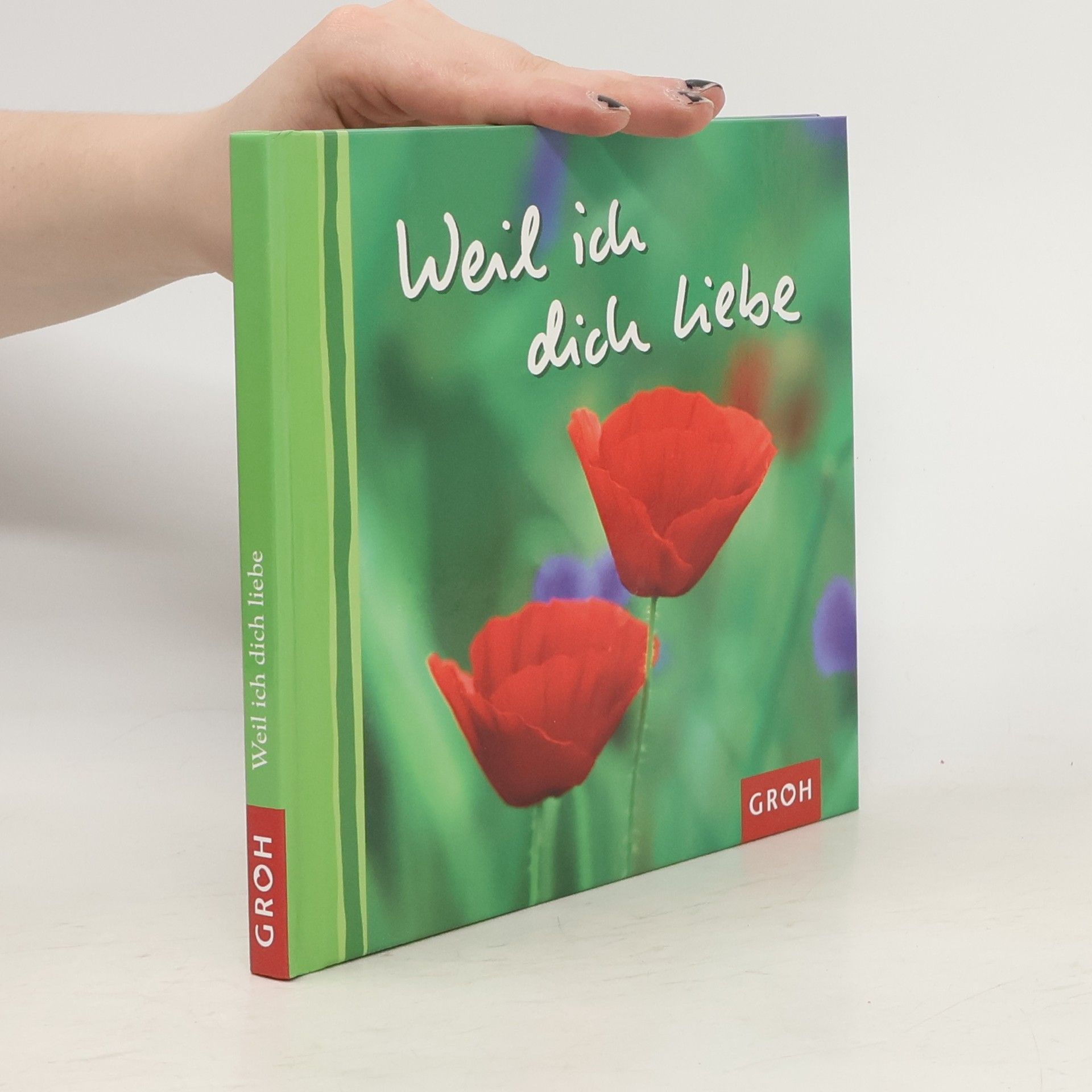 Ashley Lippert Weil ich dich liebe
