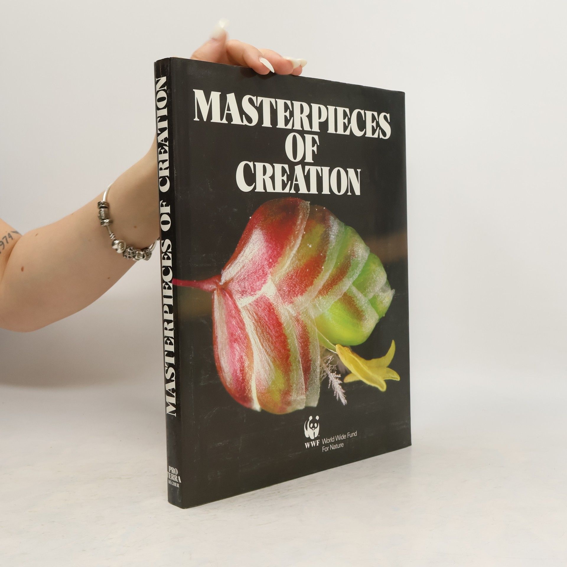 kolektiv Masterpieces of Creation
