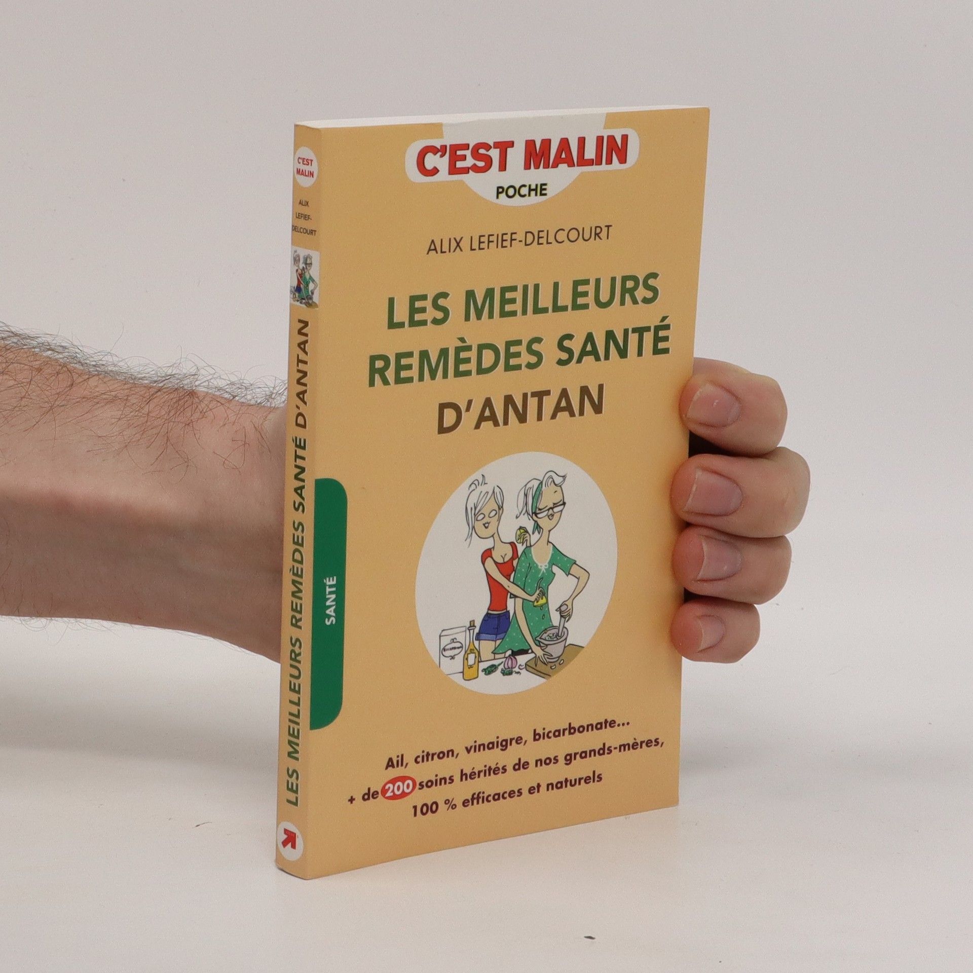 Kolektiv autorů Les meilleurs remèdes santé d'antan