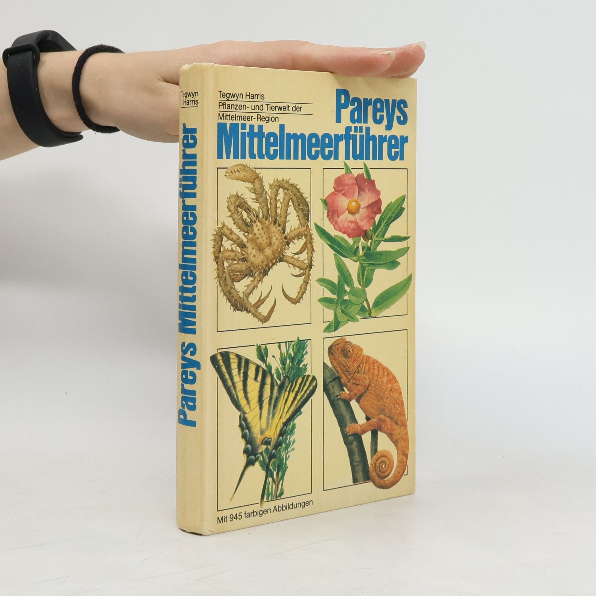 Tegwyn Harris Pareys Mittelmeerführer
