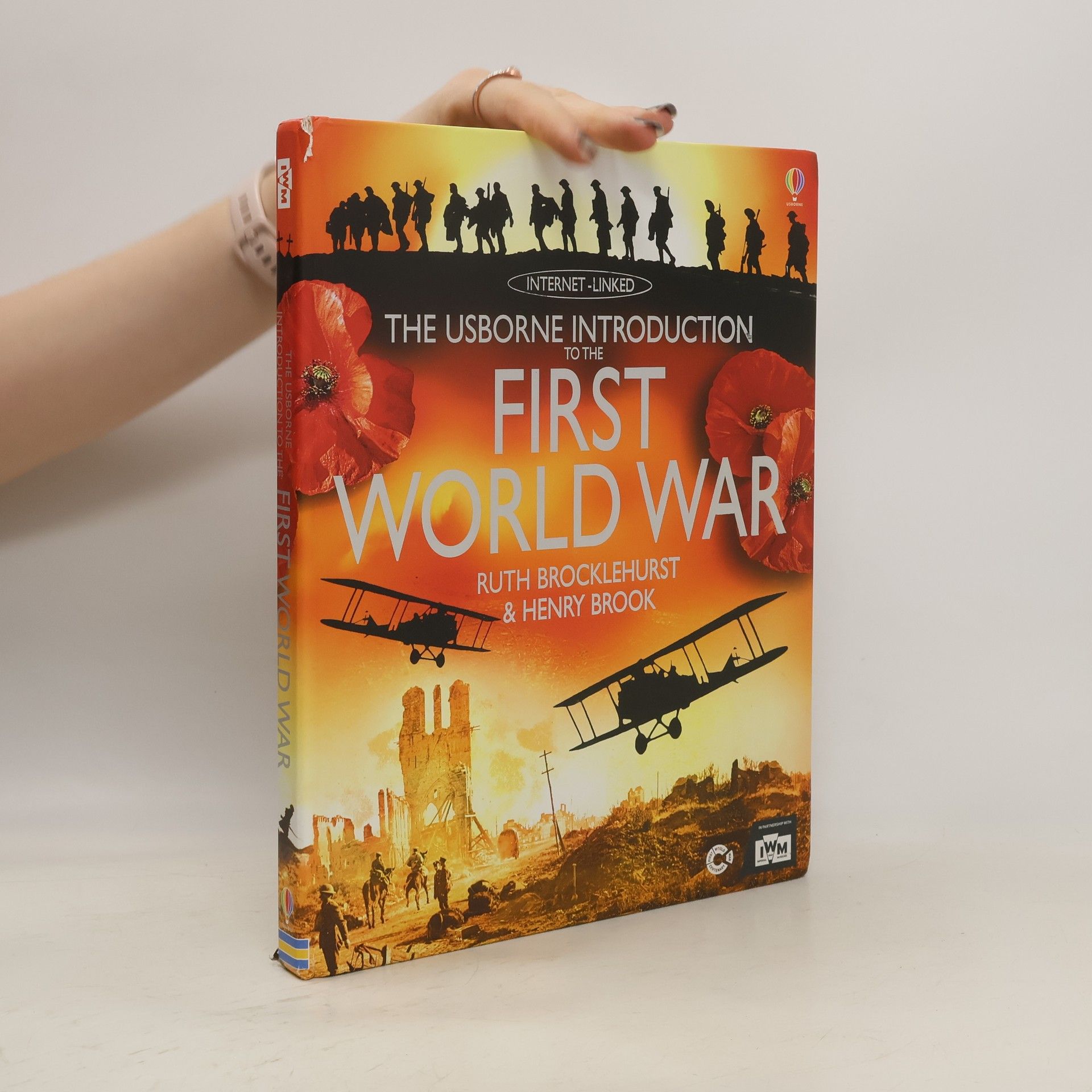 Ruth Brocklehurst The Usborne Introduction to the First World War