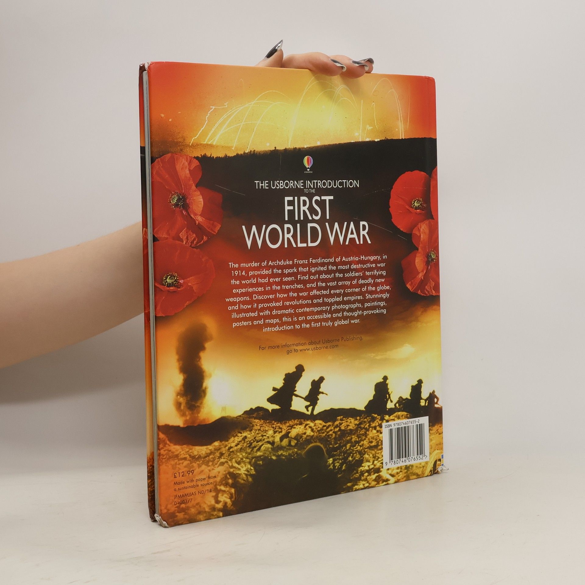 Ruth Brocklehurst The Usborne Introduction to the First World War