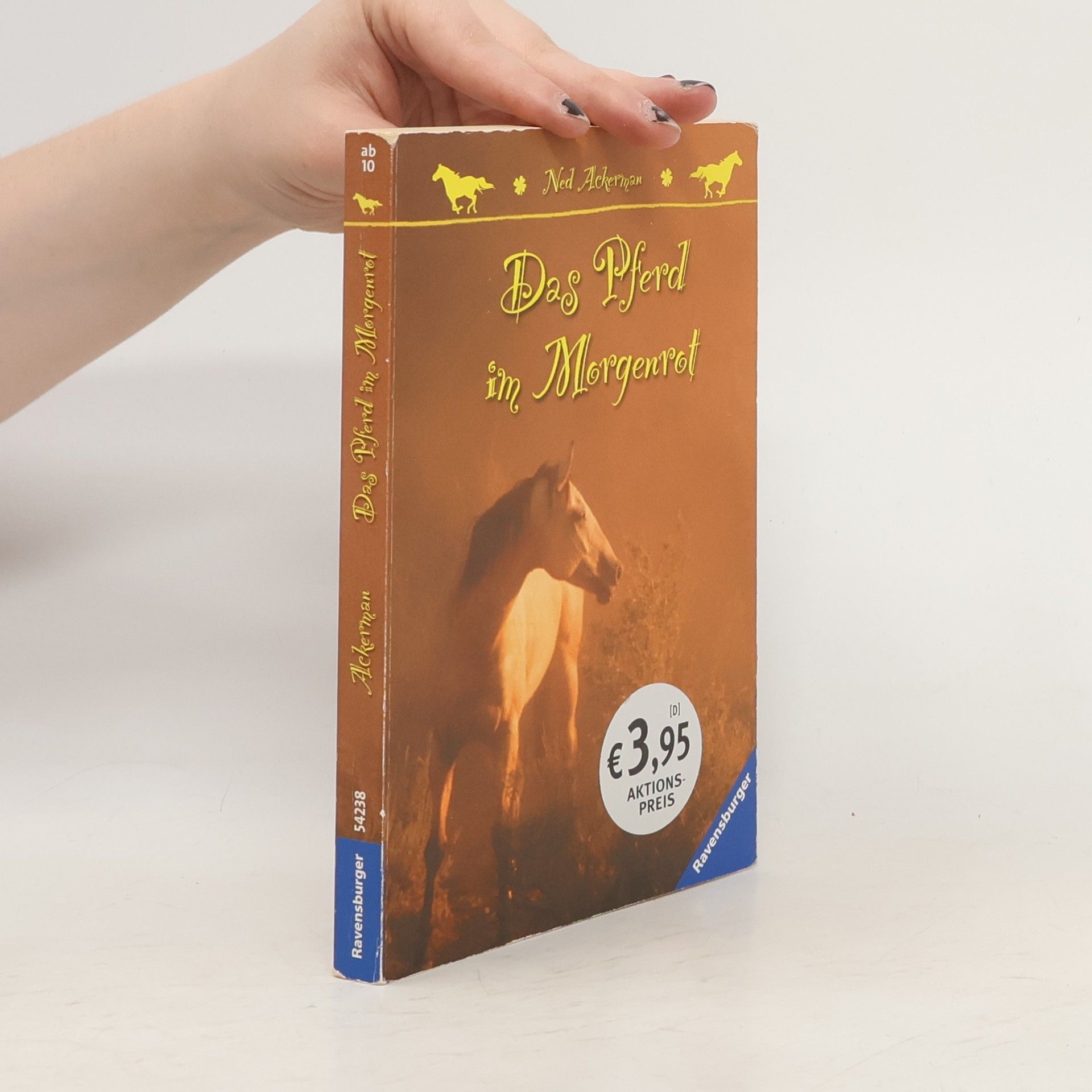 Ned Ackerman Das Pferd im Morgenrot