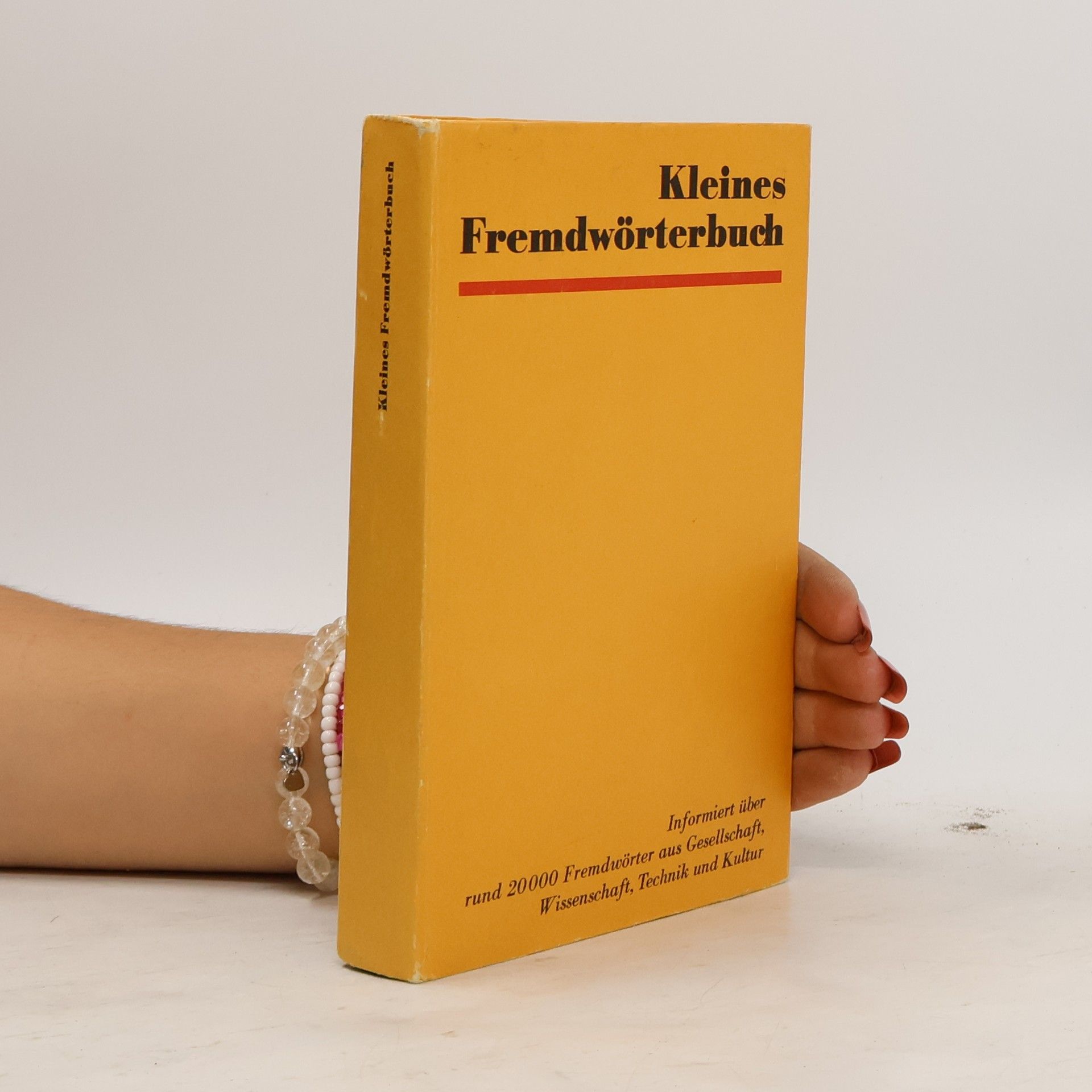 Roselore Ehrlich Kleines Fremdwörterbuch