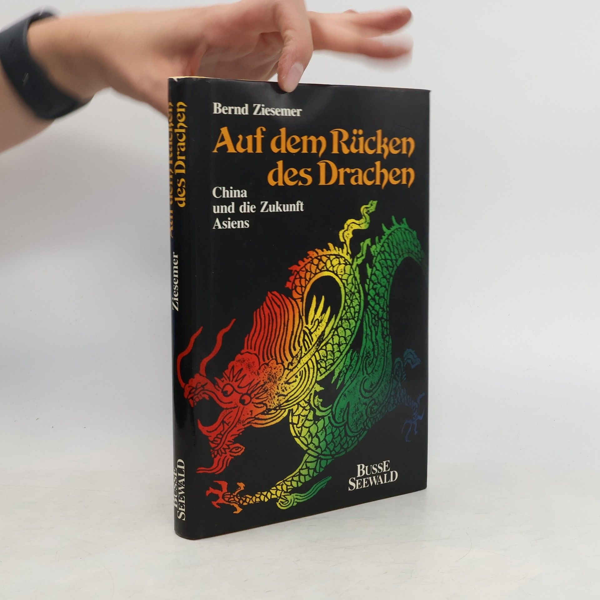 Bernd Ziesemer Auf dem Rücken des Drachen