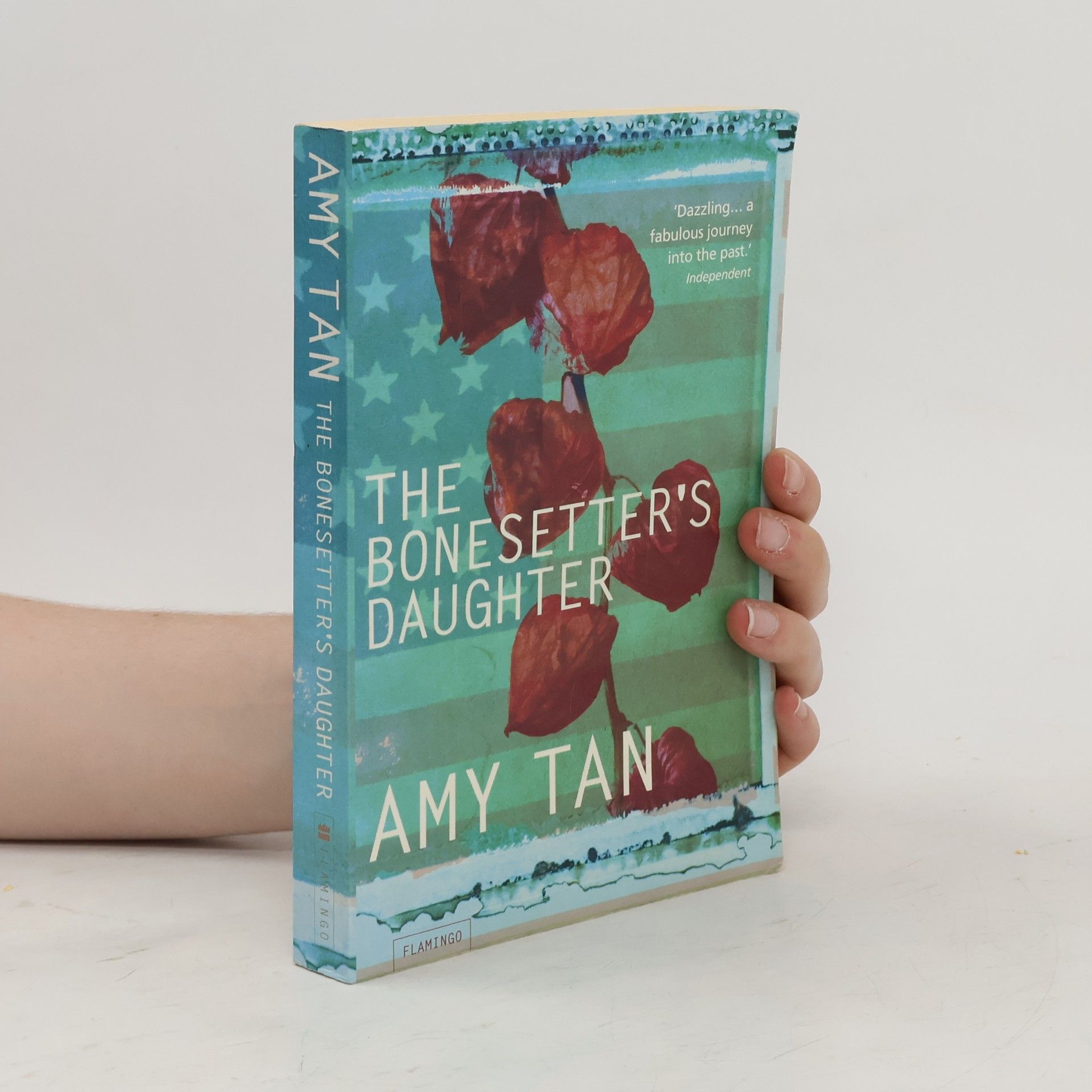 Amy Tan The bonesetter's daughter