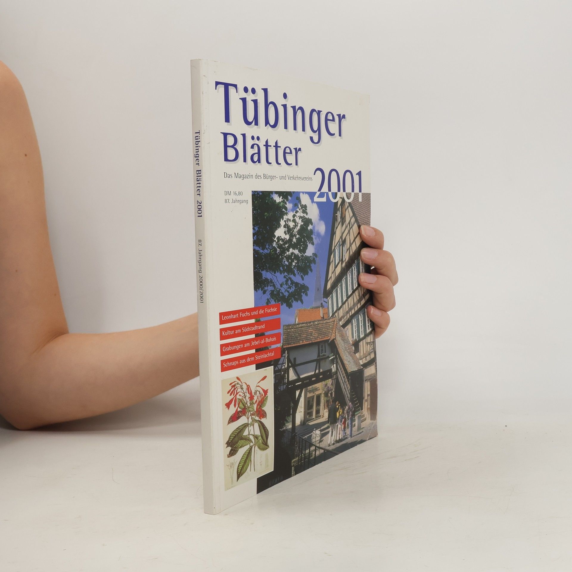 kolektiv Tübinger Blätter. 87 Jahrgang 2000/2001