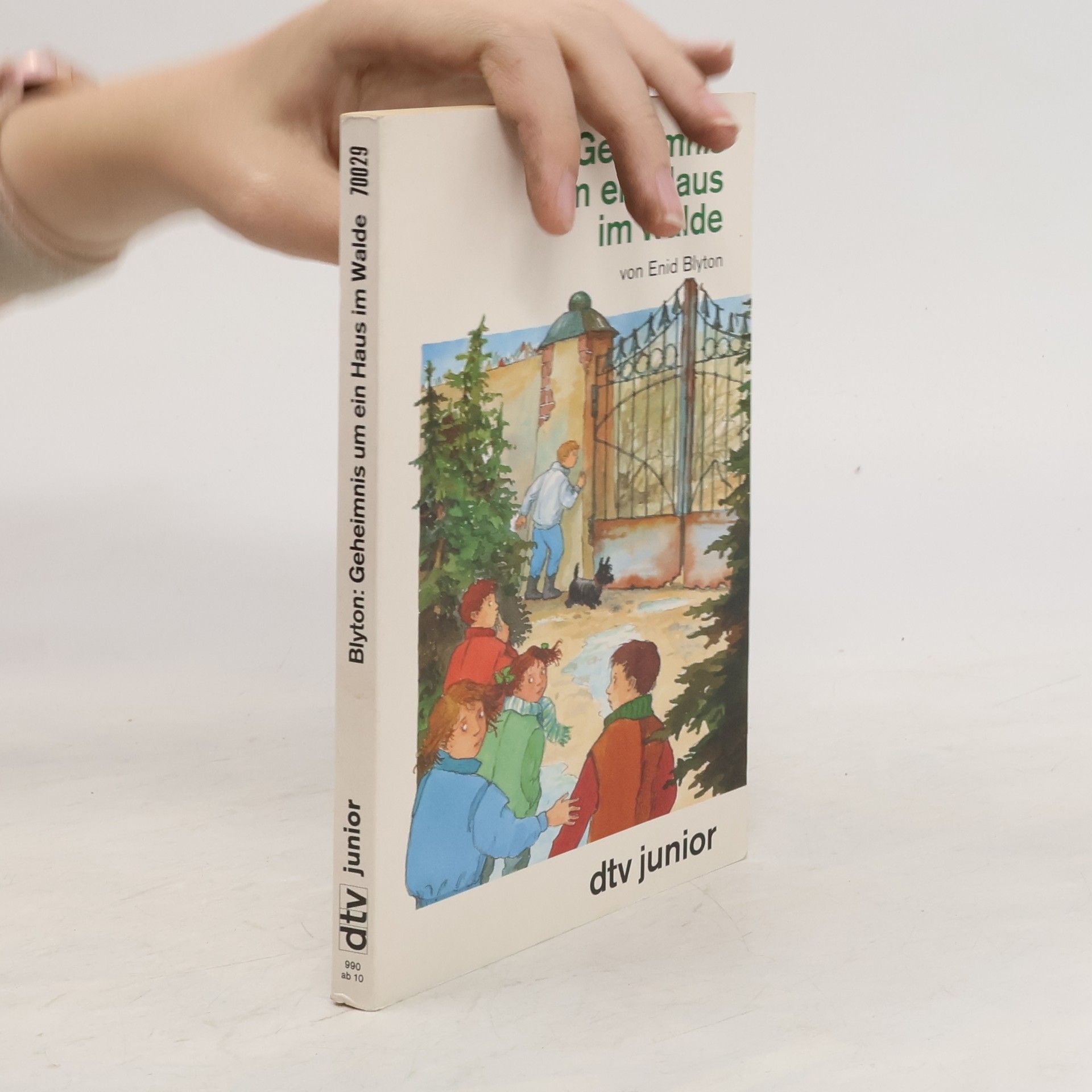 Enid Blyton Geheimnis um ein Haus im Walde