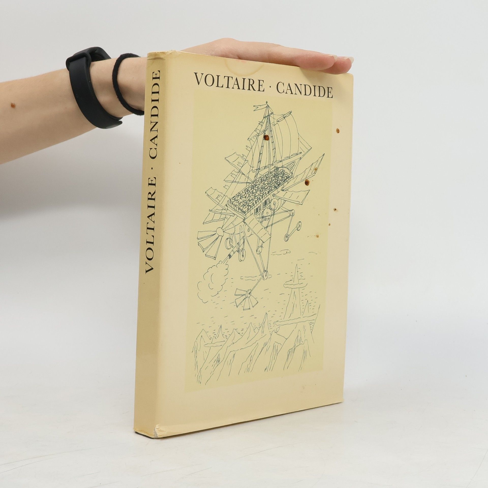 Voltaire Candide