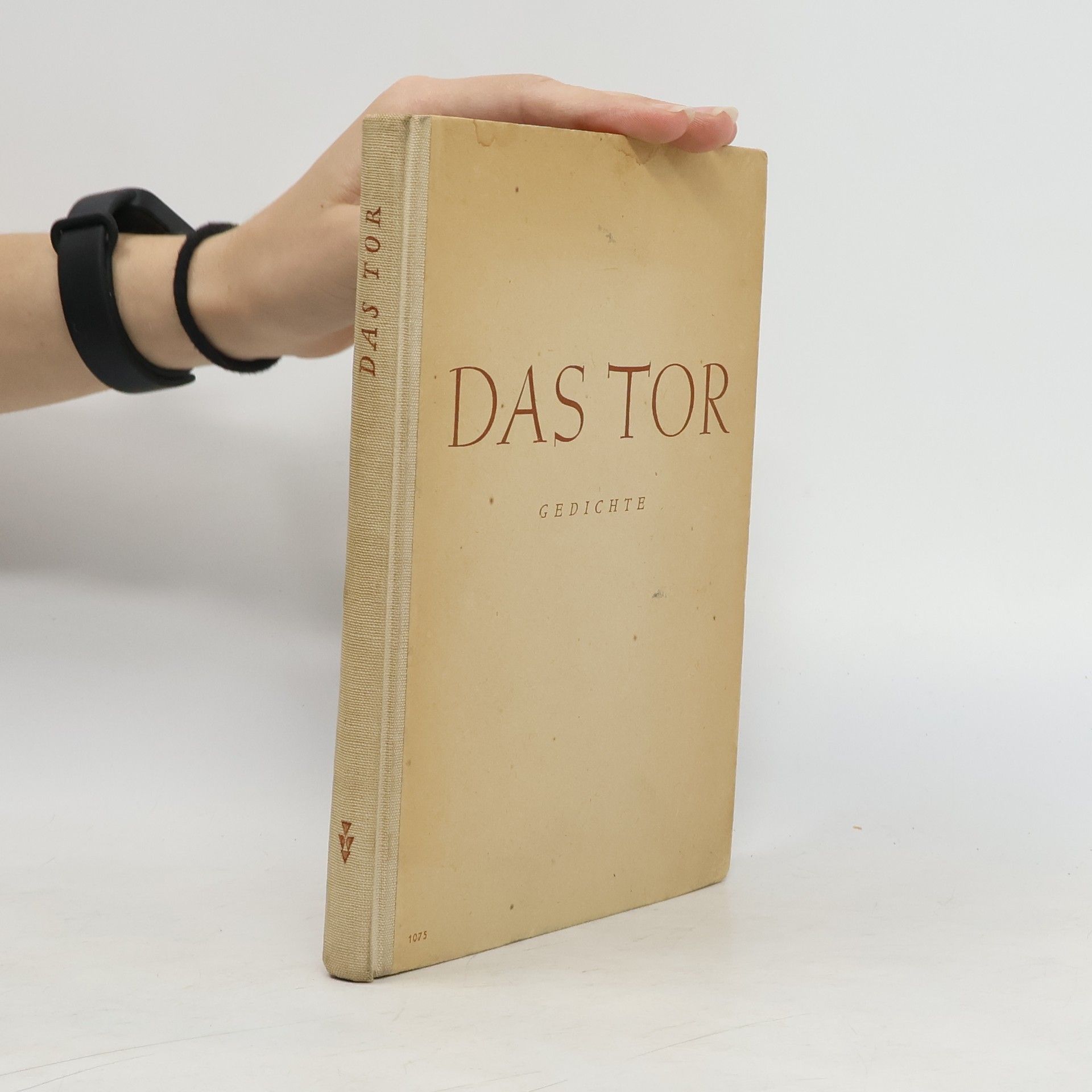 kolektiv Das Tor
