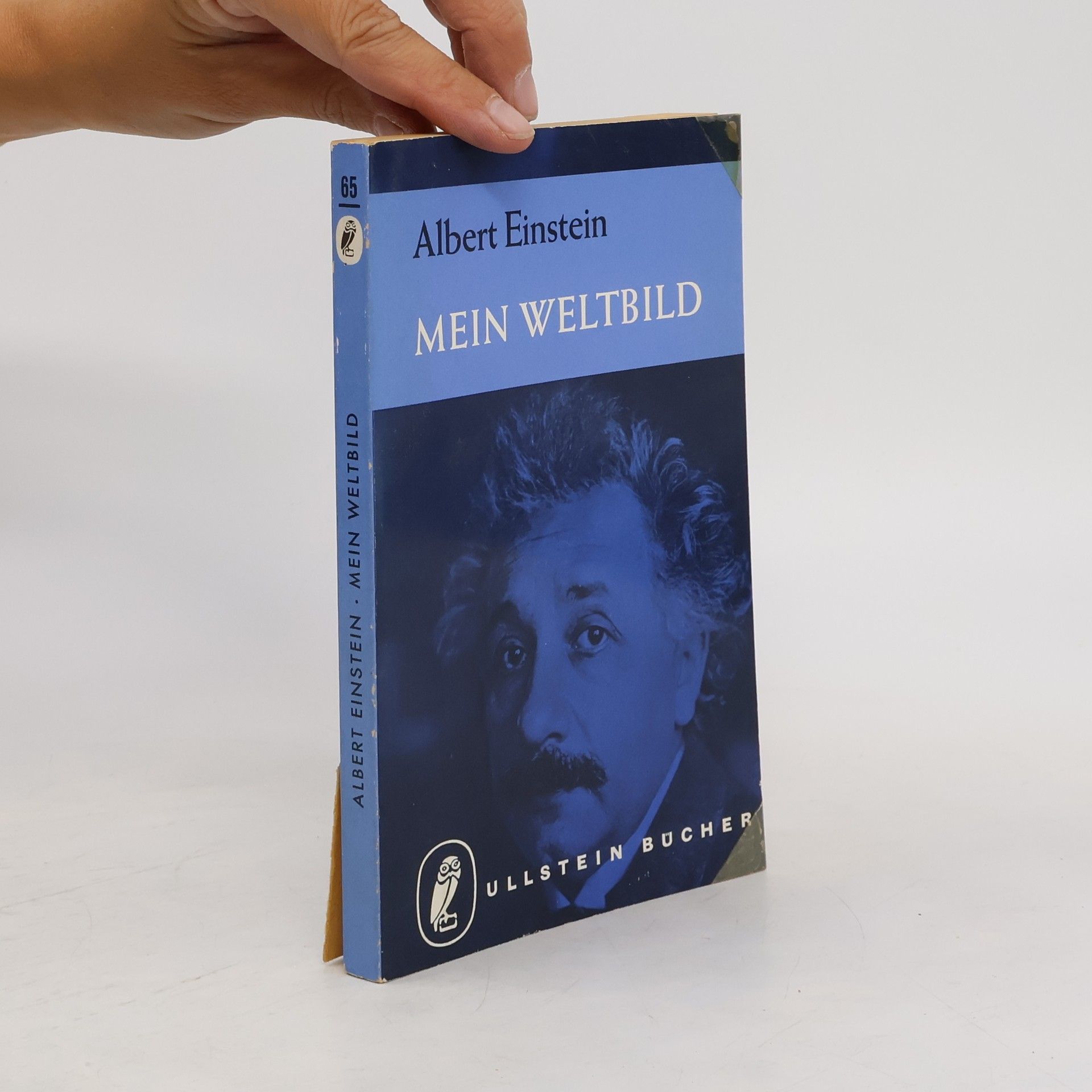 Albert Einstein Mein Weltbild