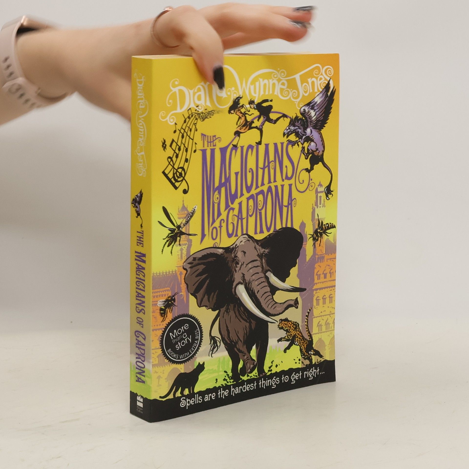 Diana Wynne Jones The Magicians of Caprona