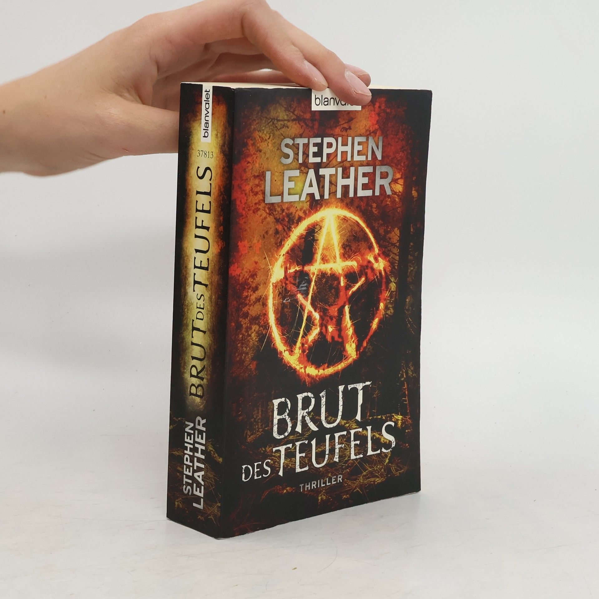 Stephen Leather Brut des Teufels. Thriller