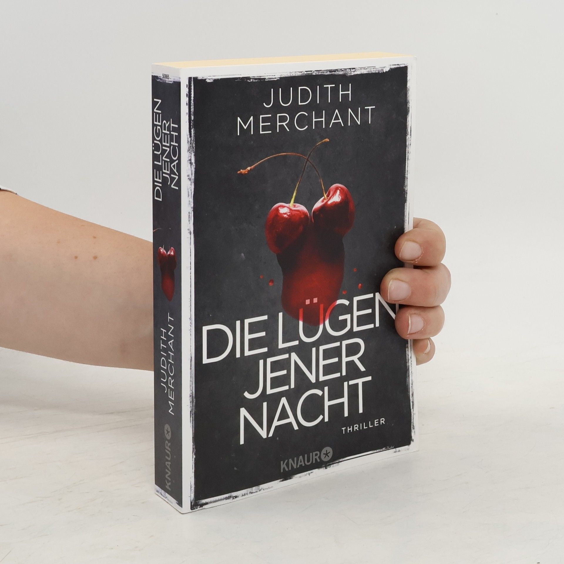 Judith Merchant Die Lügen jener Nacht