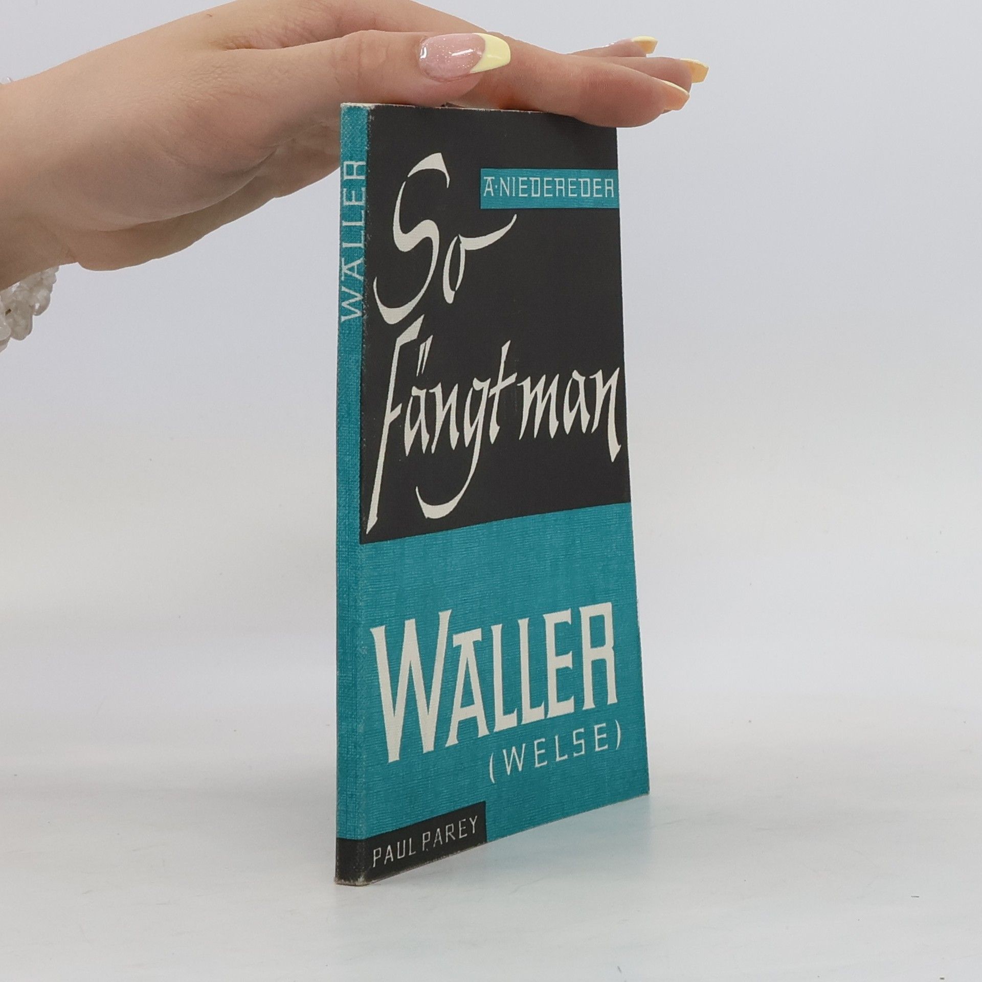 Alfred Hutterer Niedereder So fängt man Waller (Welse)