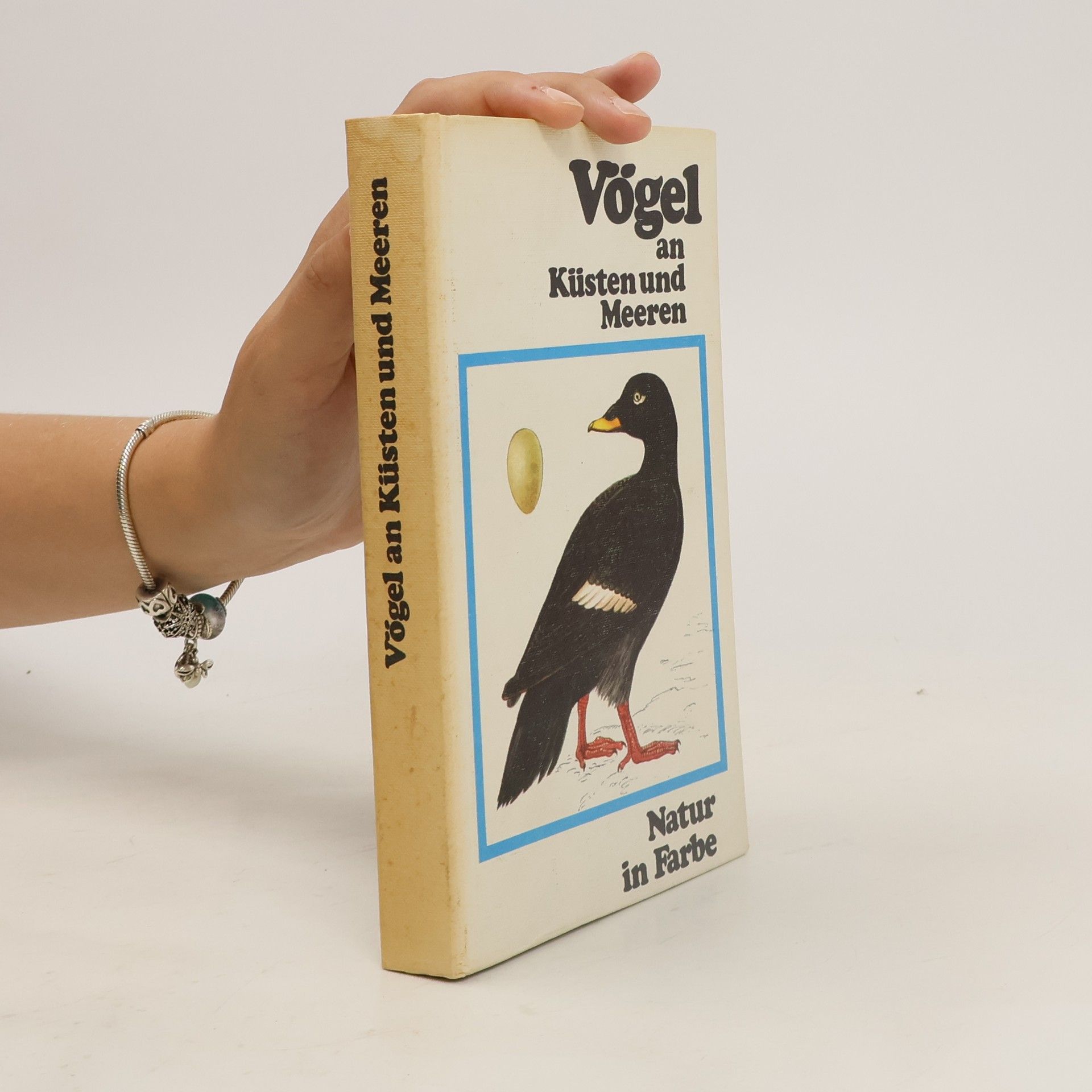 Jiří Felix Vögel an Küsten und Meeren