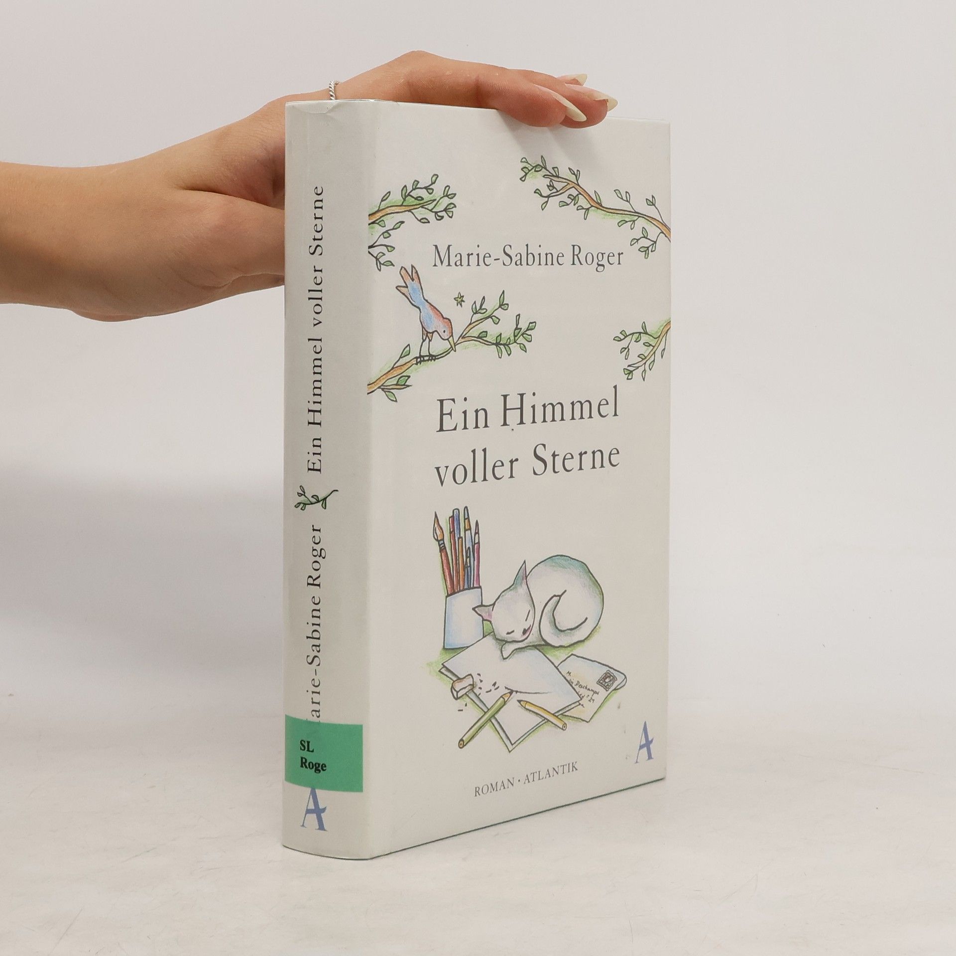 Marie-Sabine Roger Ein Himmel voller Sterne