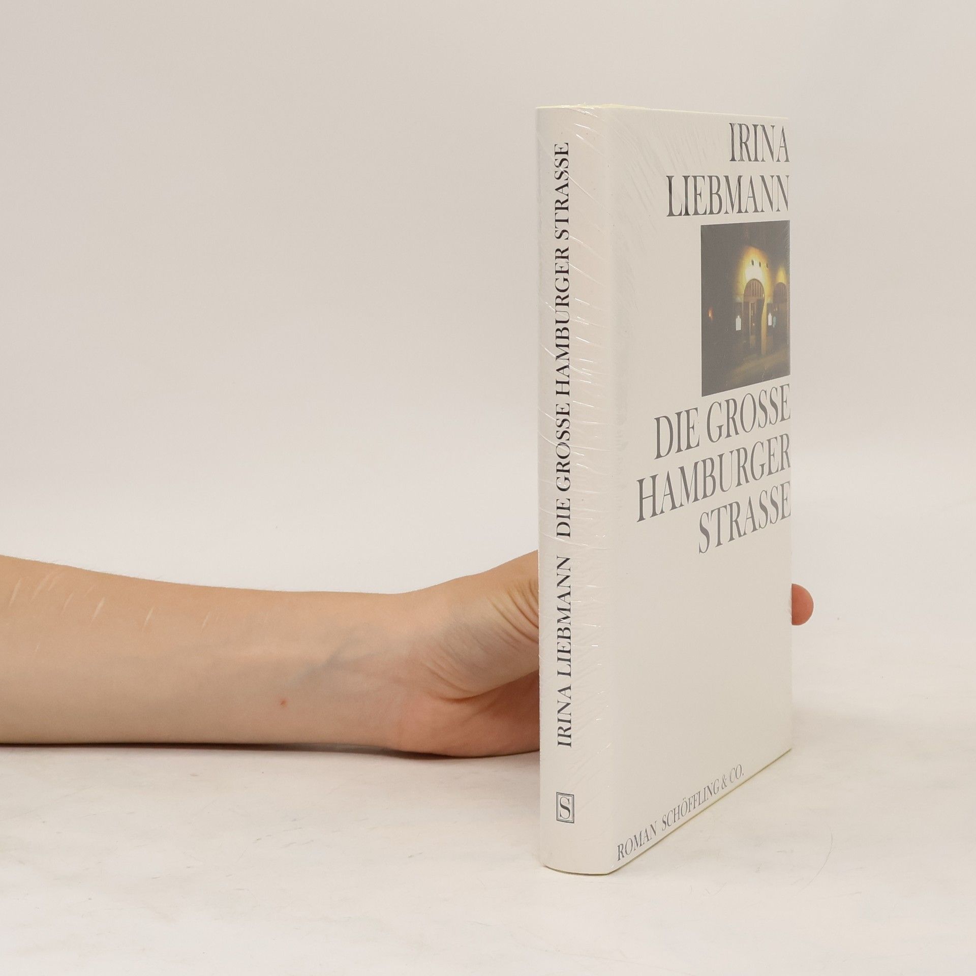 Irina Liebmann Die Große Hamburger Straße