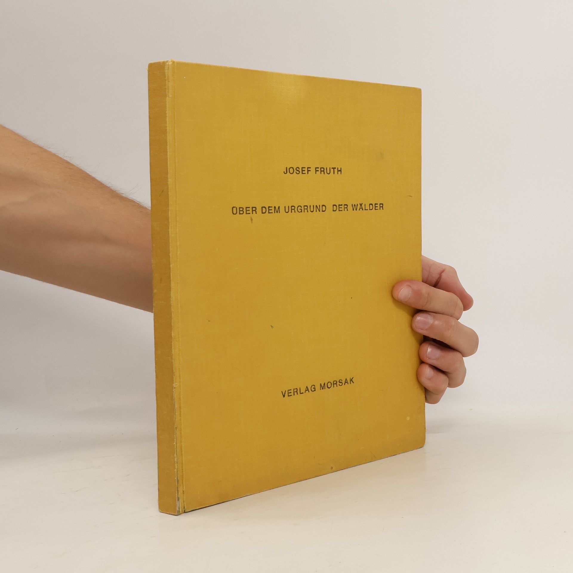 Über dem Urgrund der Wälder