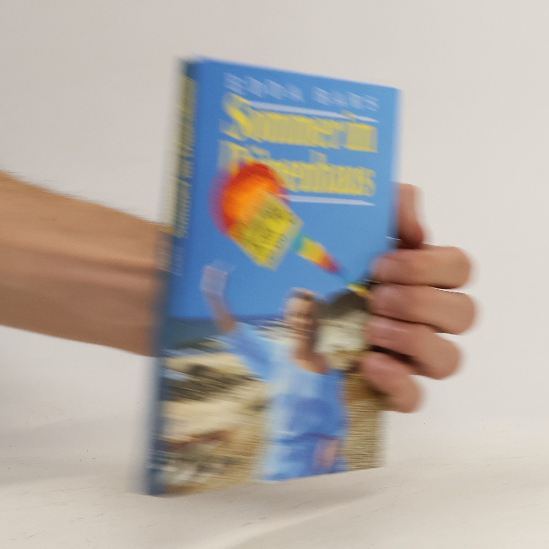 Edda Bars Sommer im Dünenhaus