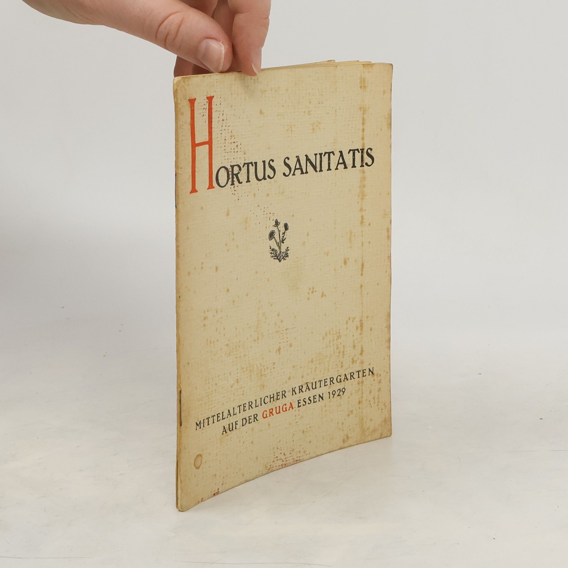 Autorenkollektiv Hortus sanitatis