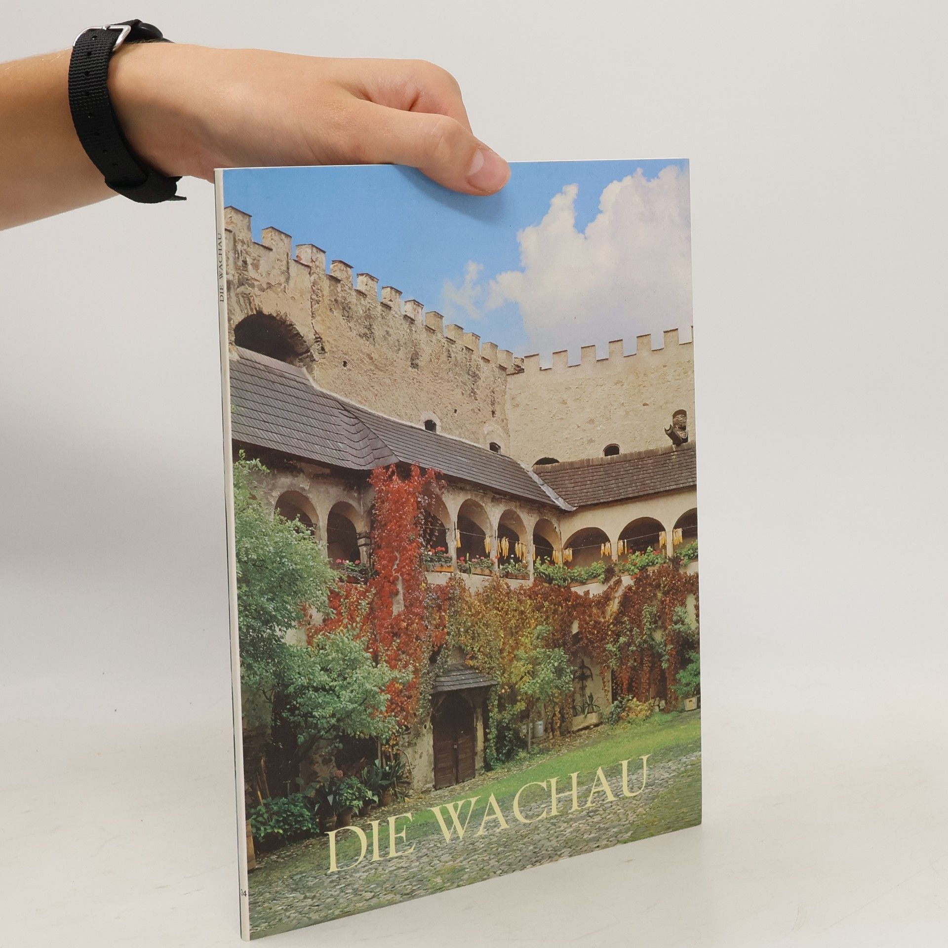 Harry Kühnel Wachau und Nibelungengau