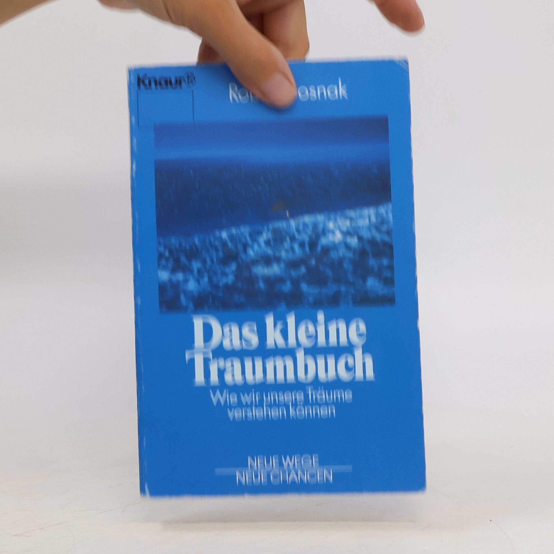 Robert Bosnak Das kleine Traumbuch